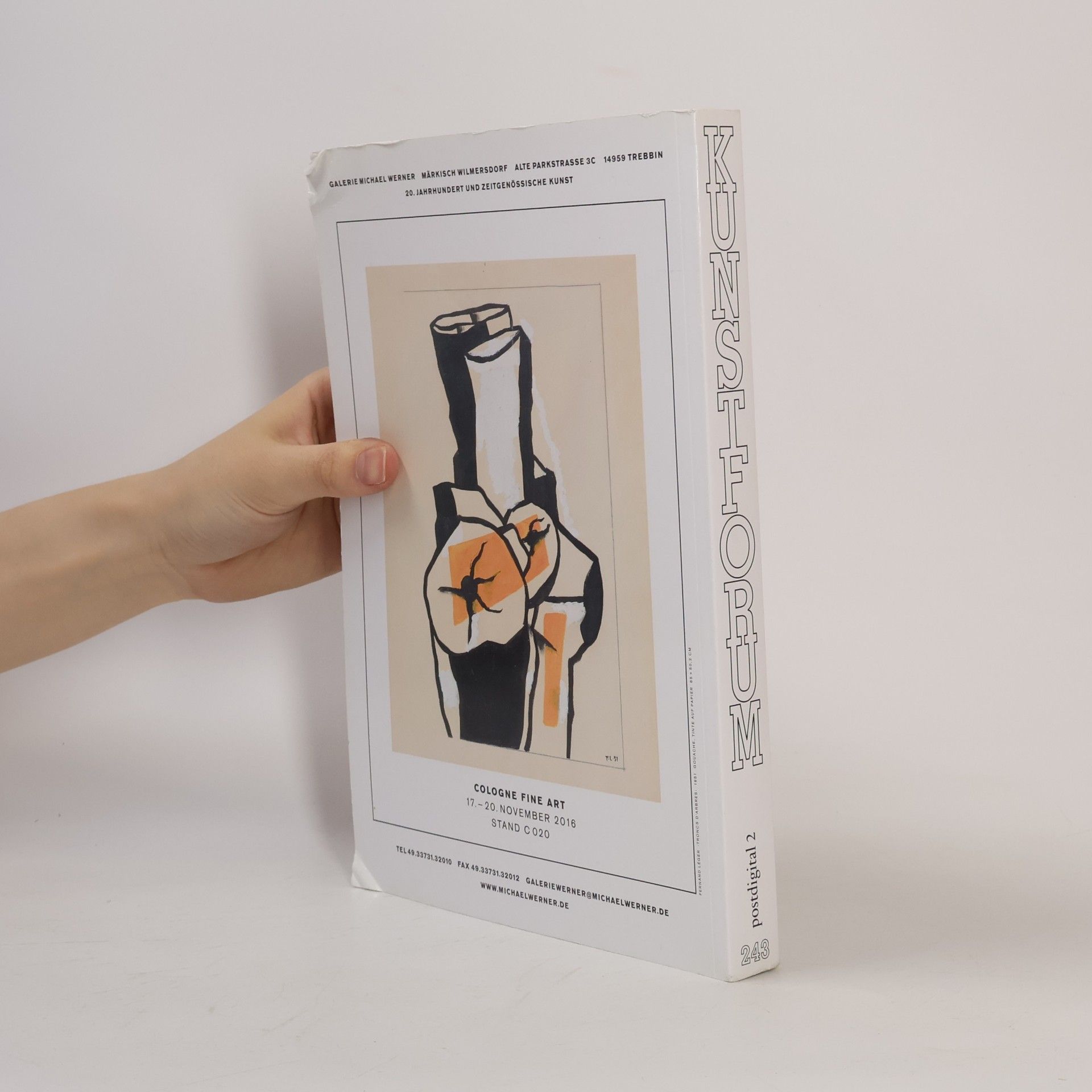 kolektiv Kunstforum International 243