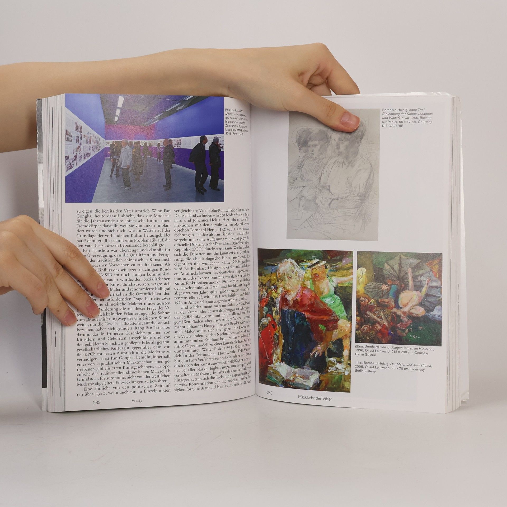 kolektiv Kunstforum International 243