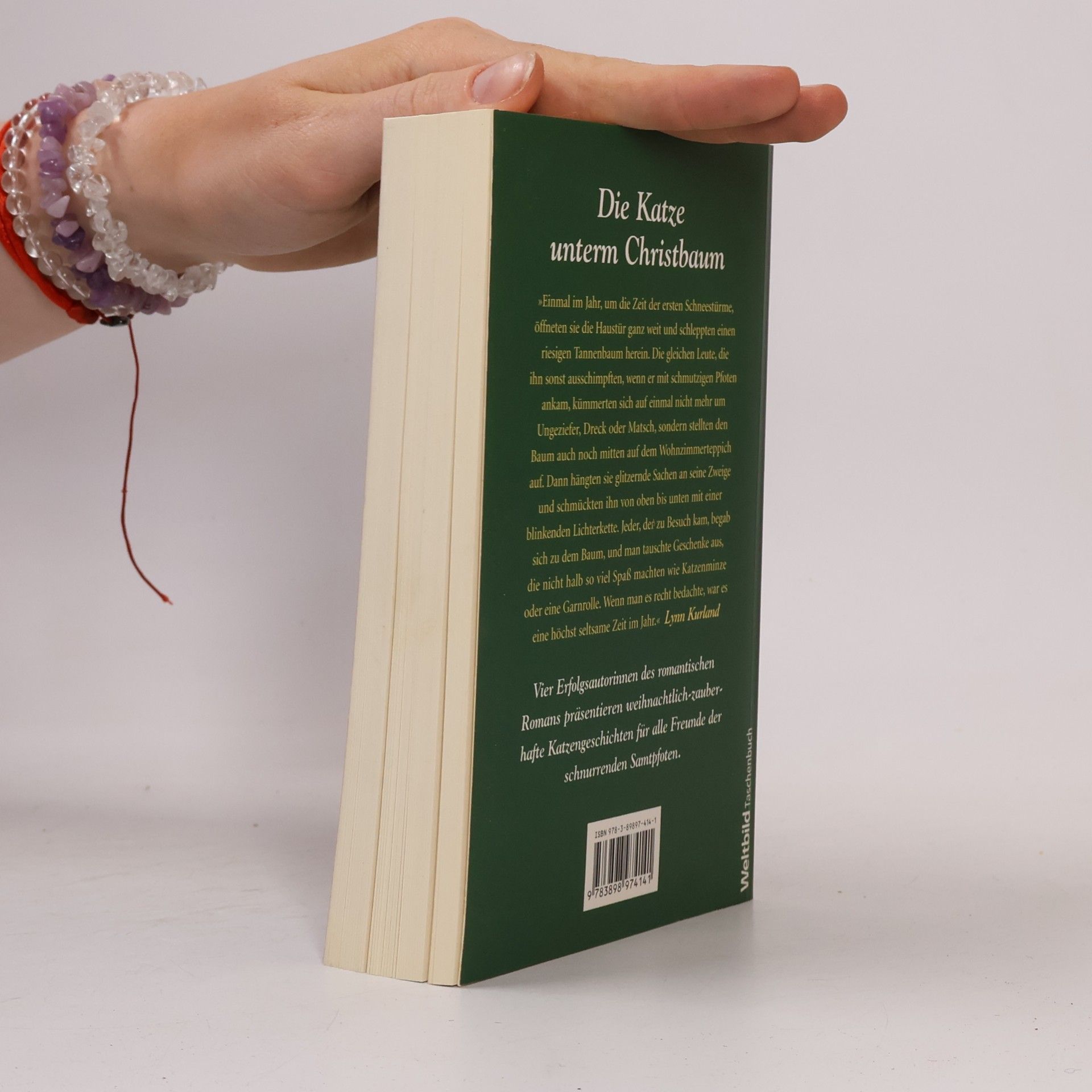 Julie Beard Die Katze unterm Christbaum