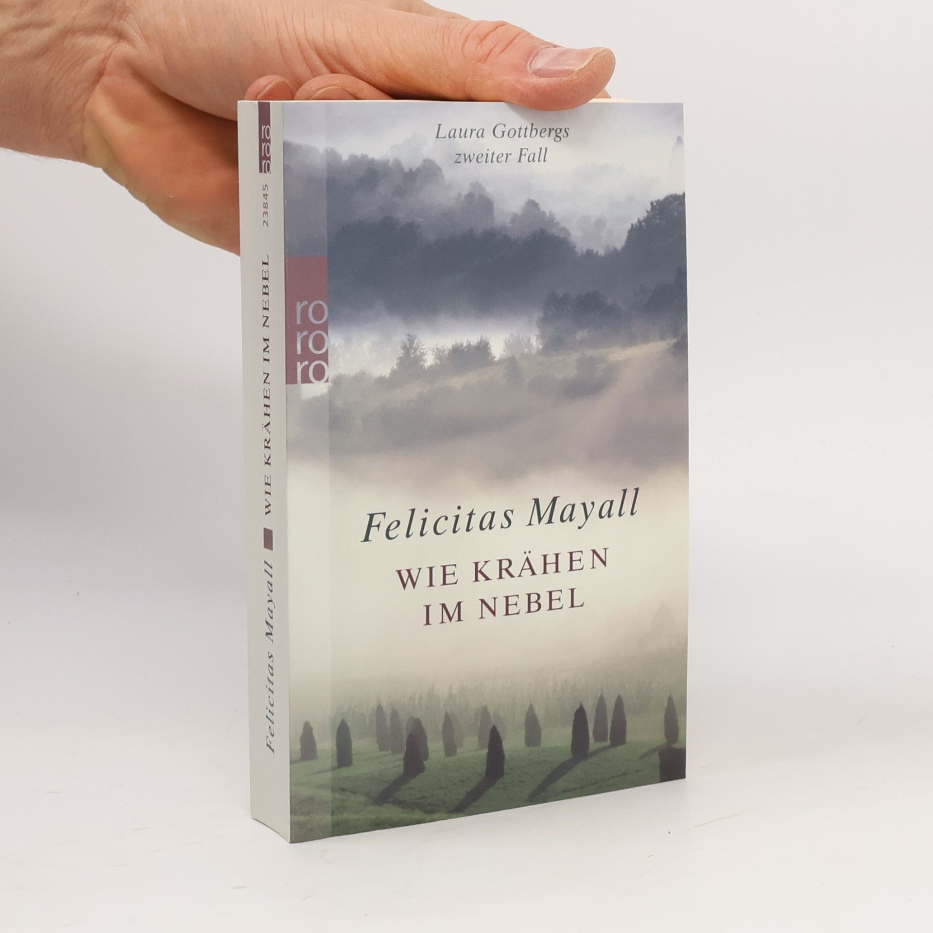 Felicitas Mayall Wie Krähen im Nebel