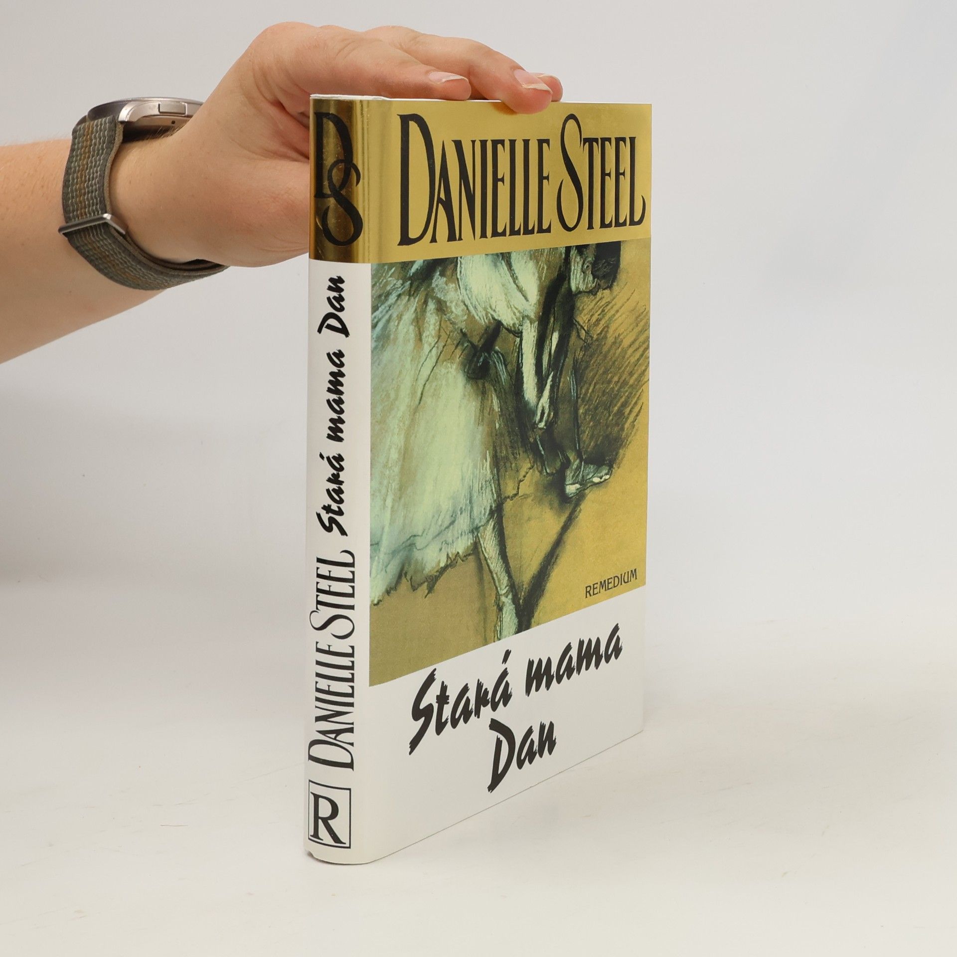 Danielle Steel Stará mama Dan