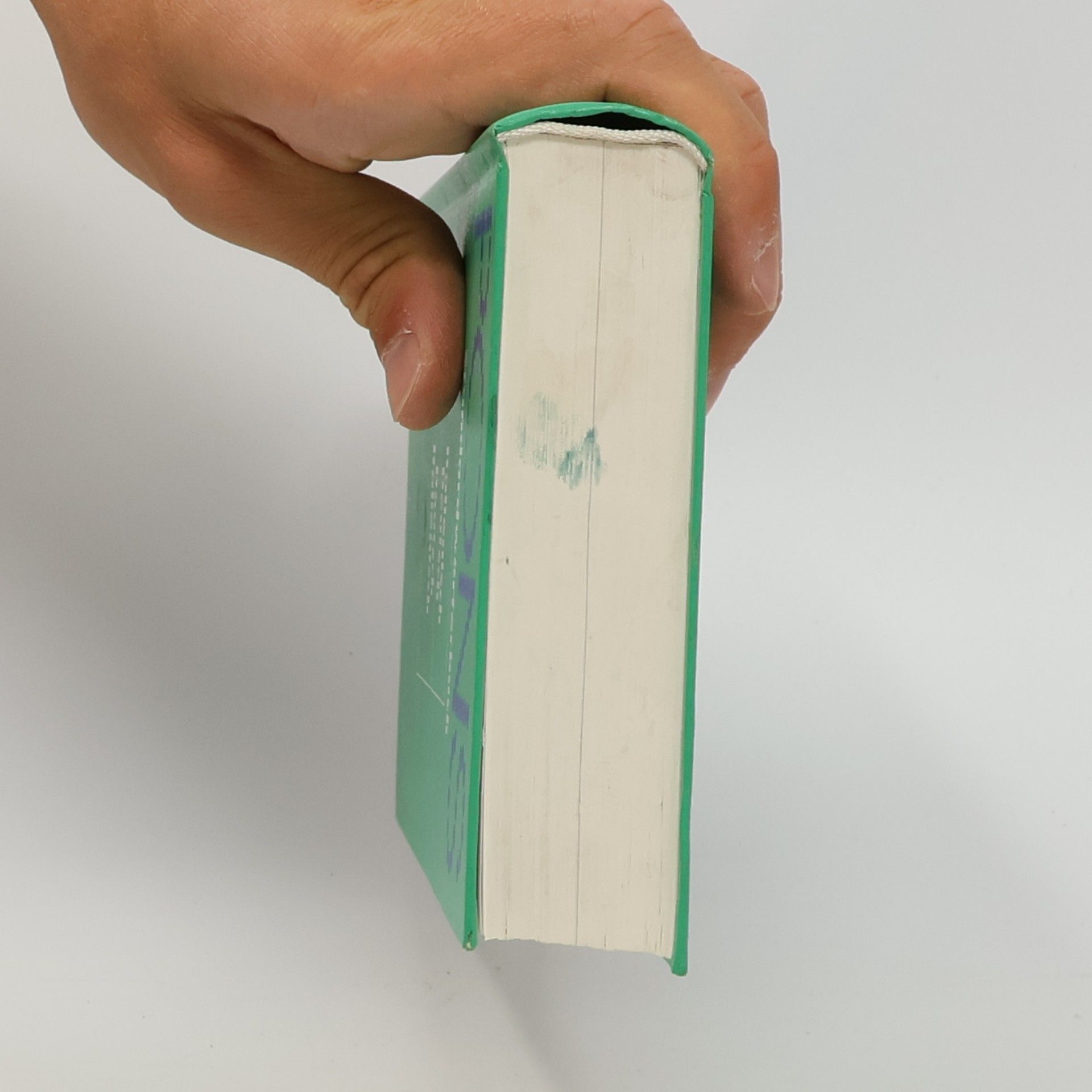 PONS Standardwörterbuch