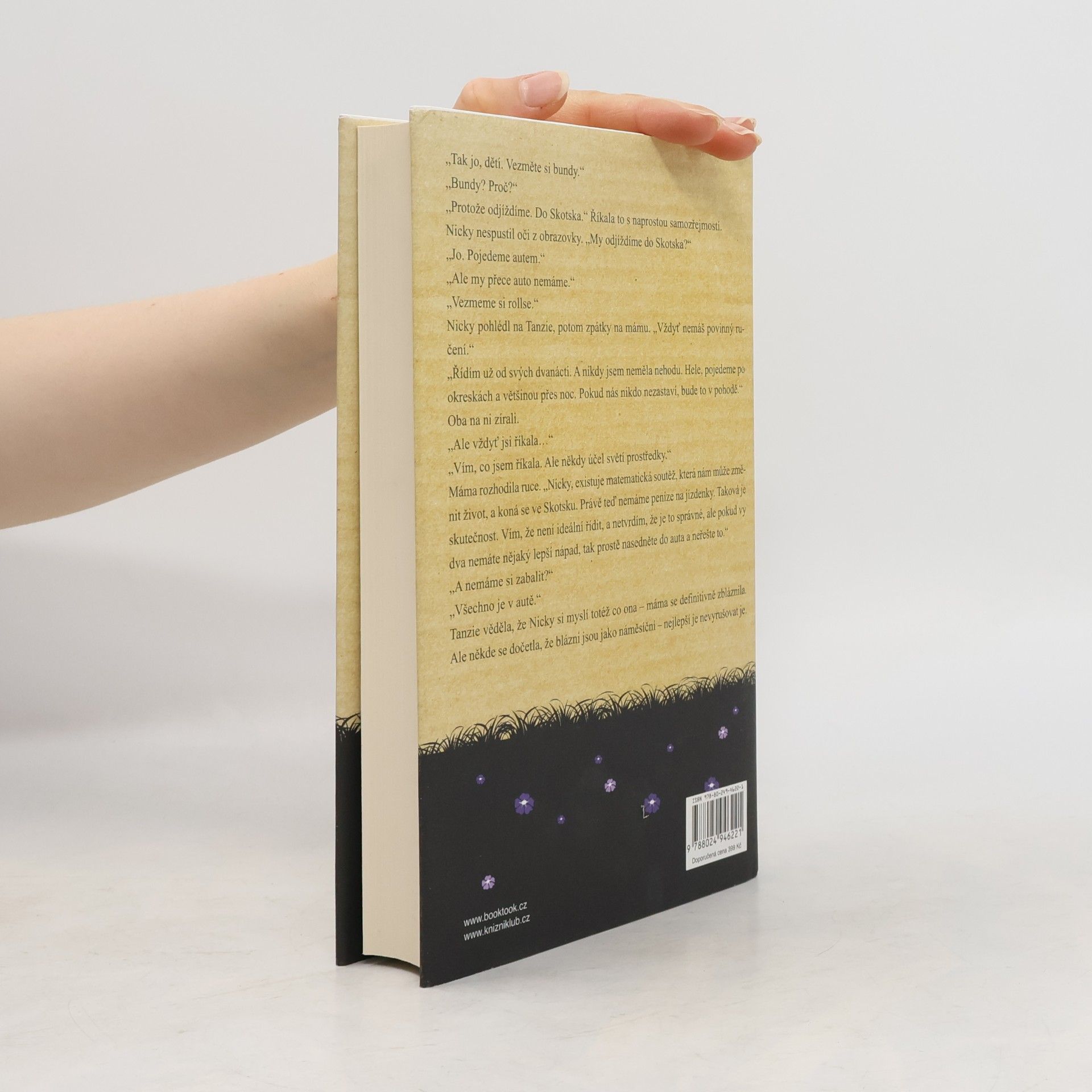 Jojo Moyes Jeden plus jedna