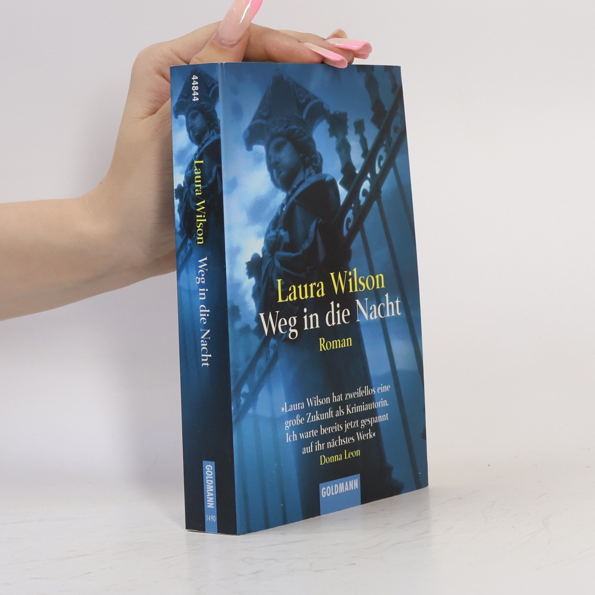 Laura Wilson Weg in die Nacht