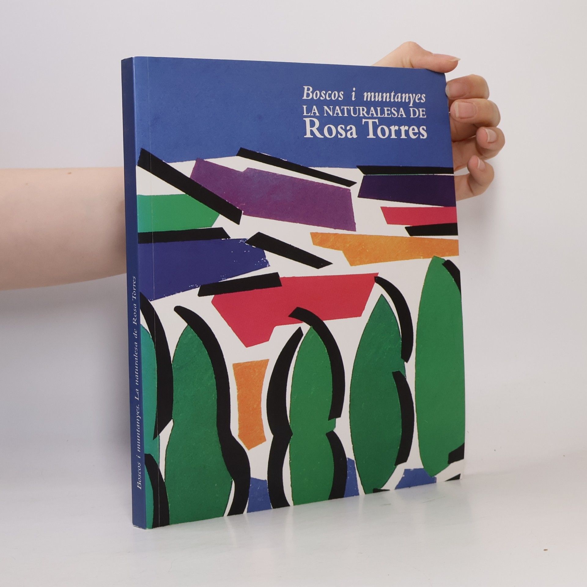Rosa Puig Torres Catàlegs d'exposicions: Boscos i muntanyes. La naturalesa de Rosa Torres