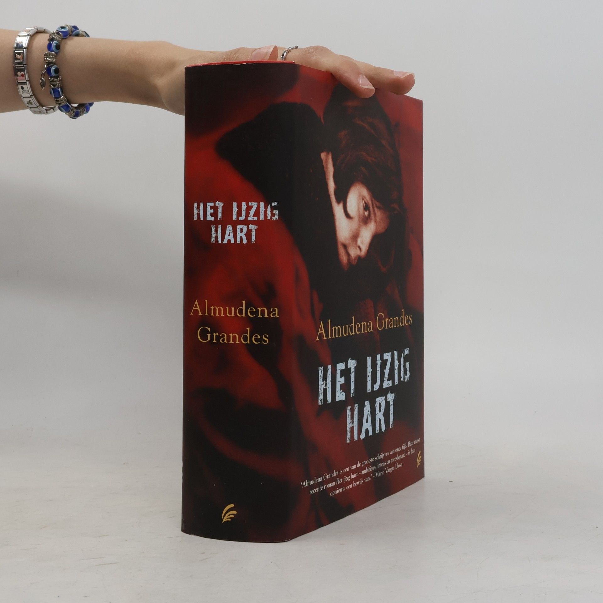 Almudena Grandes Het ijzig hart