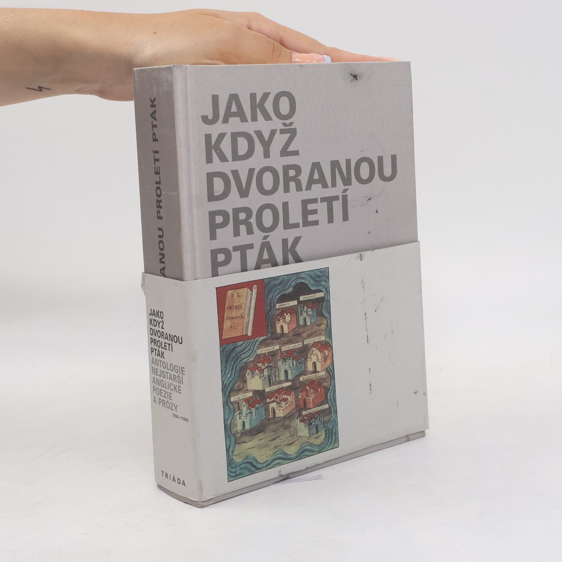 Jan Čermák Jako když dvoranou proletí pták