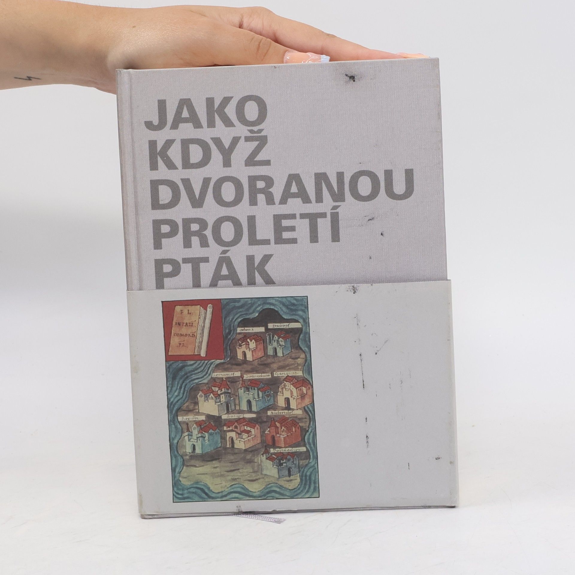 Jan Čermák Jako když dvoranou proletí pták