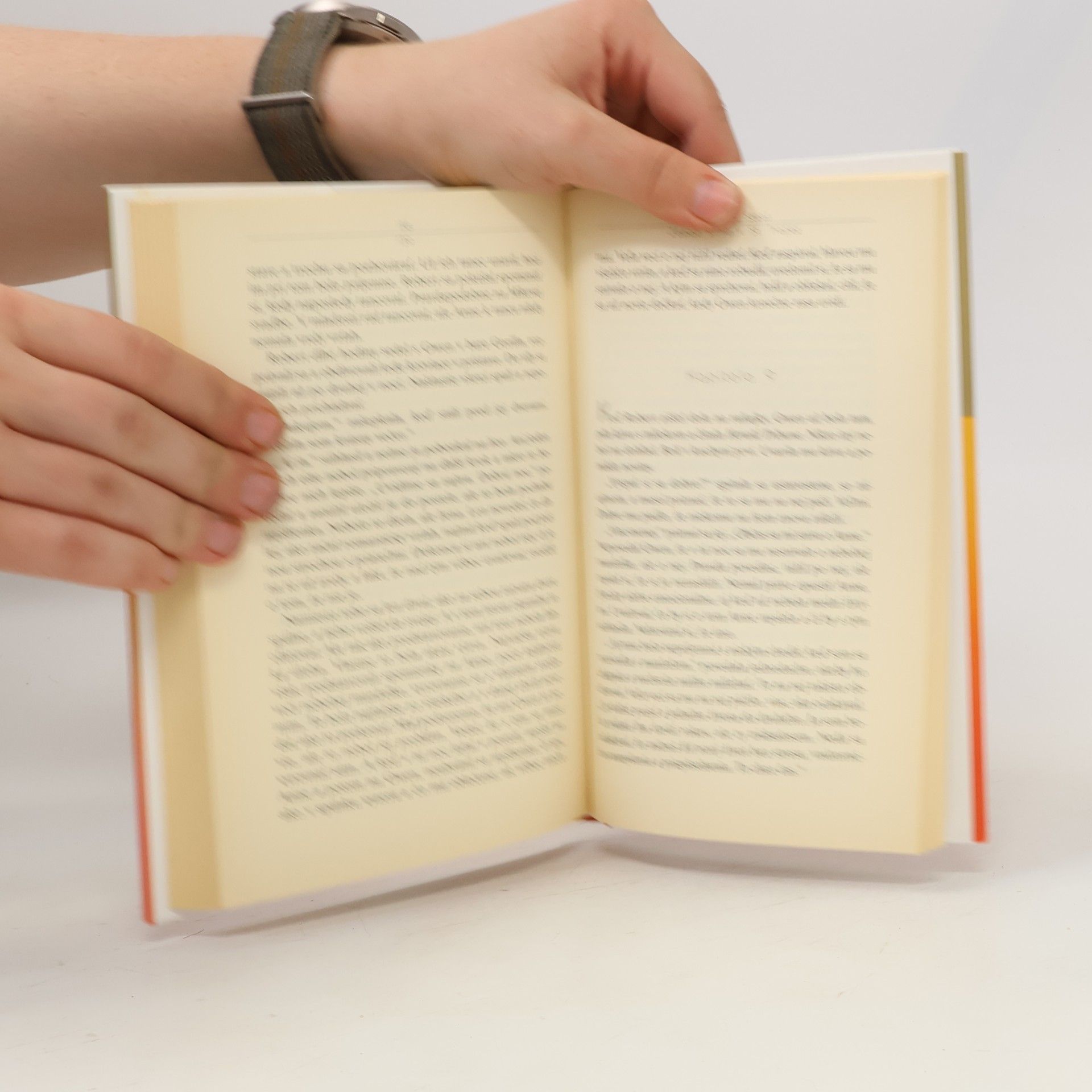 Danielle Steel Západ Slnka v St.Tropez