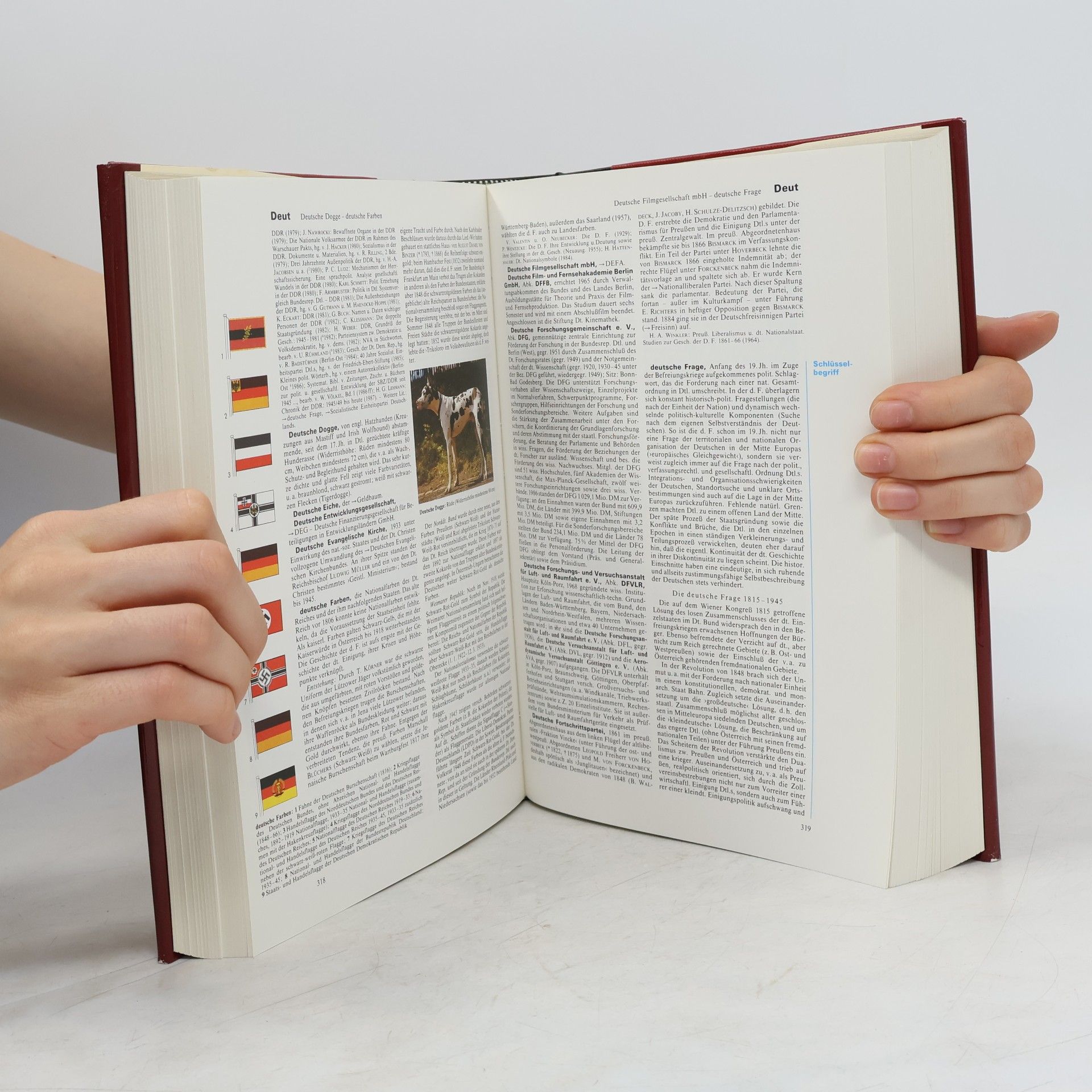 kolektiv Brockhaus Enzyklopädie 5 (COT-DR)