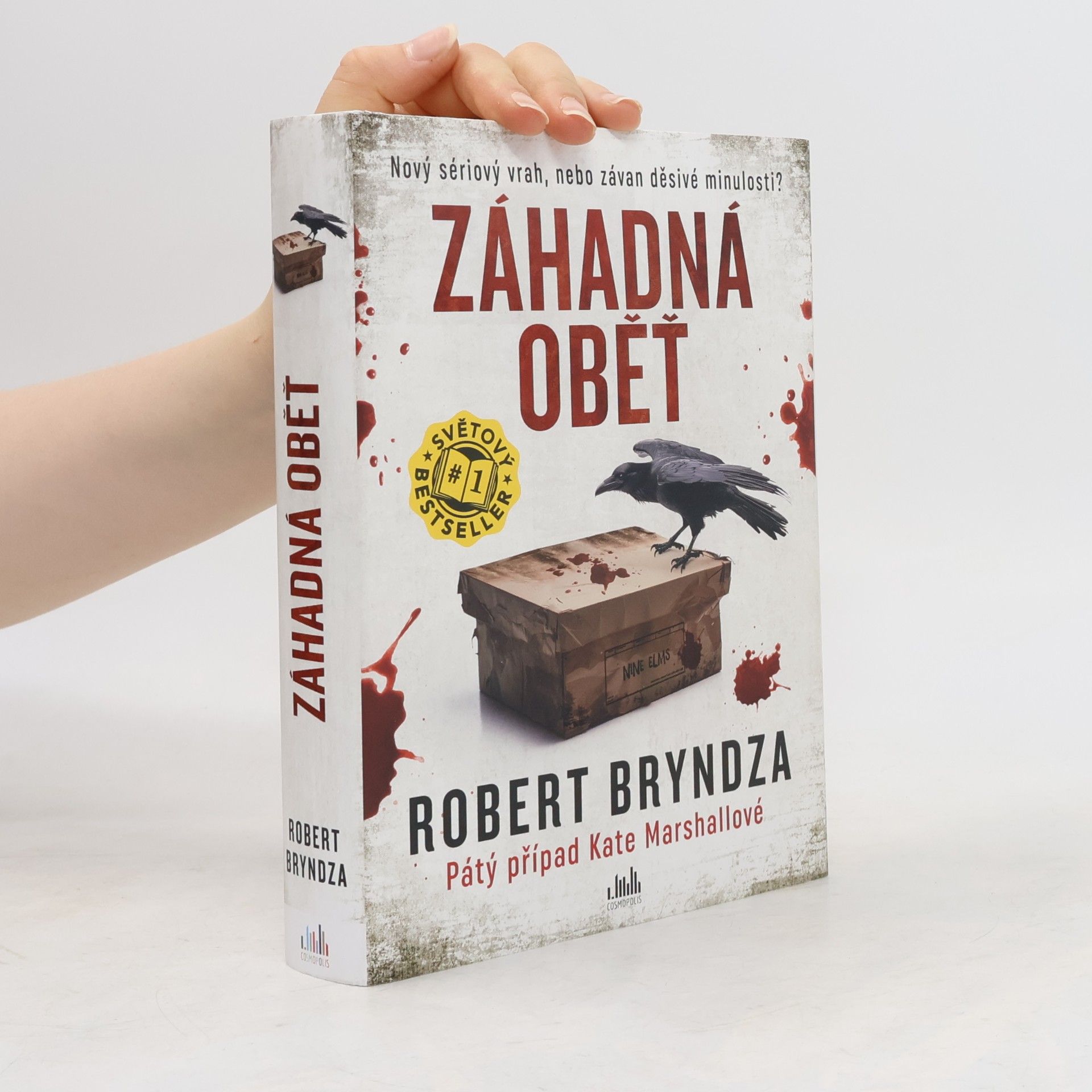 Robert Bryndza Záhadná oběť