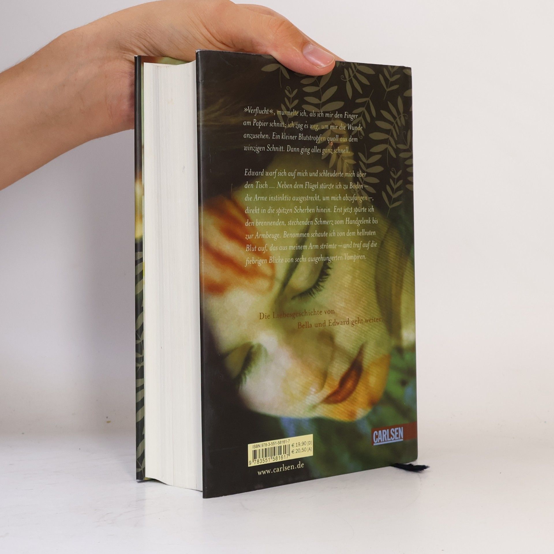 Stephenie Meyer Biss zur Mittagsstunde