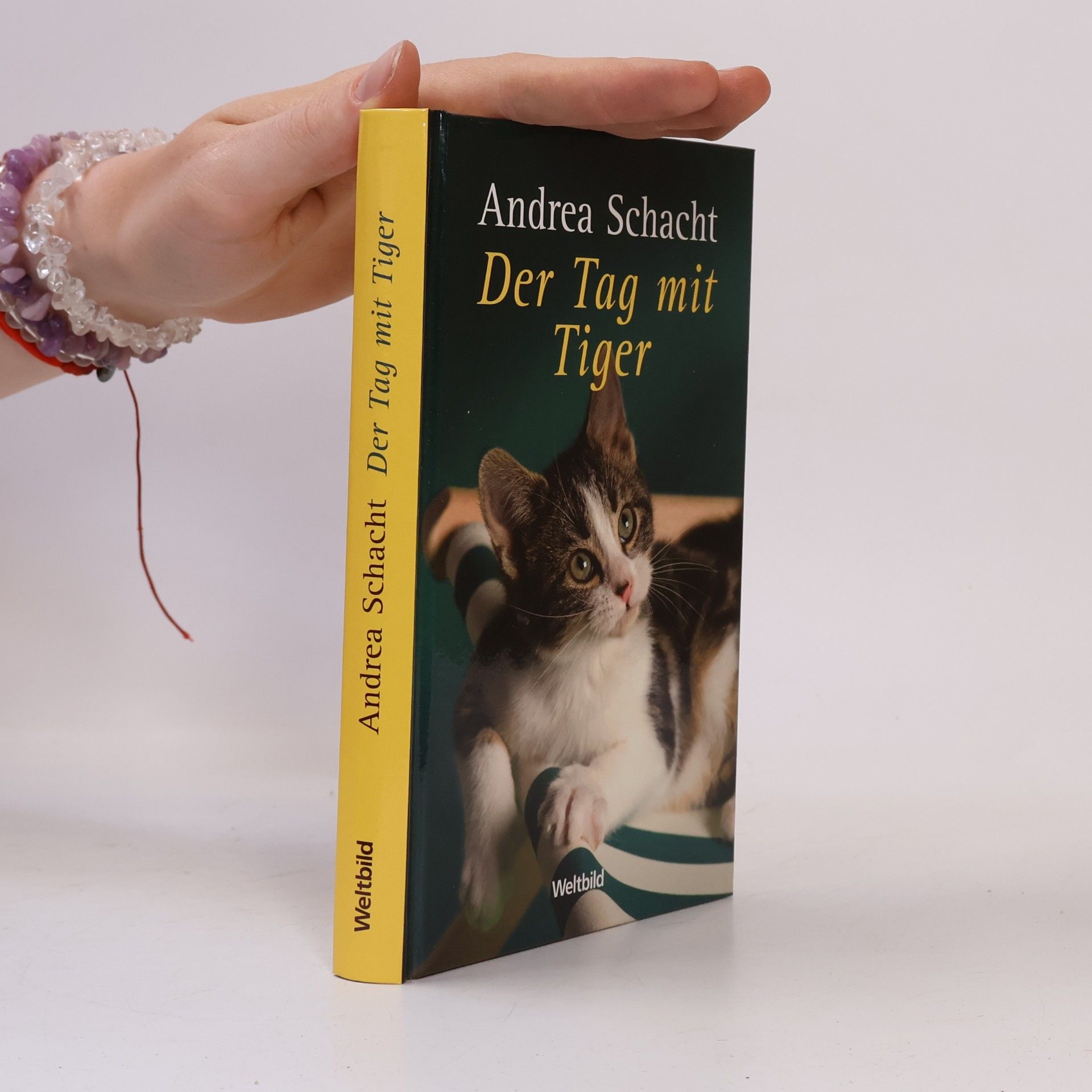 Andrea Schacht Der Tag mit Tiger