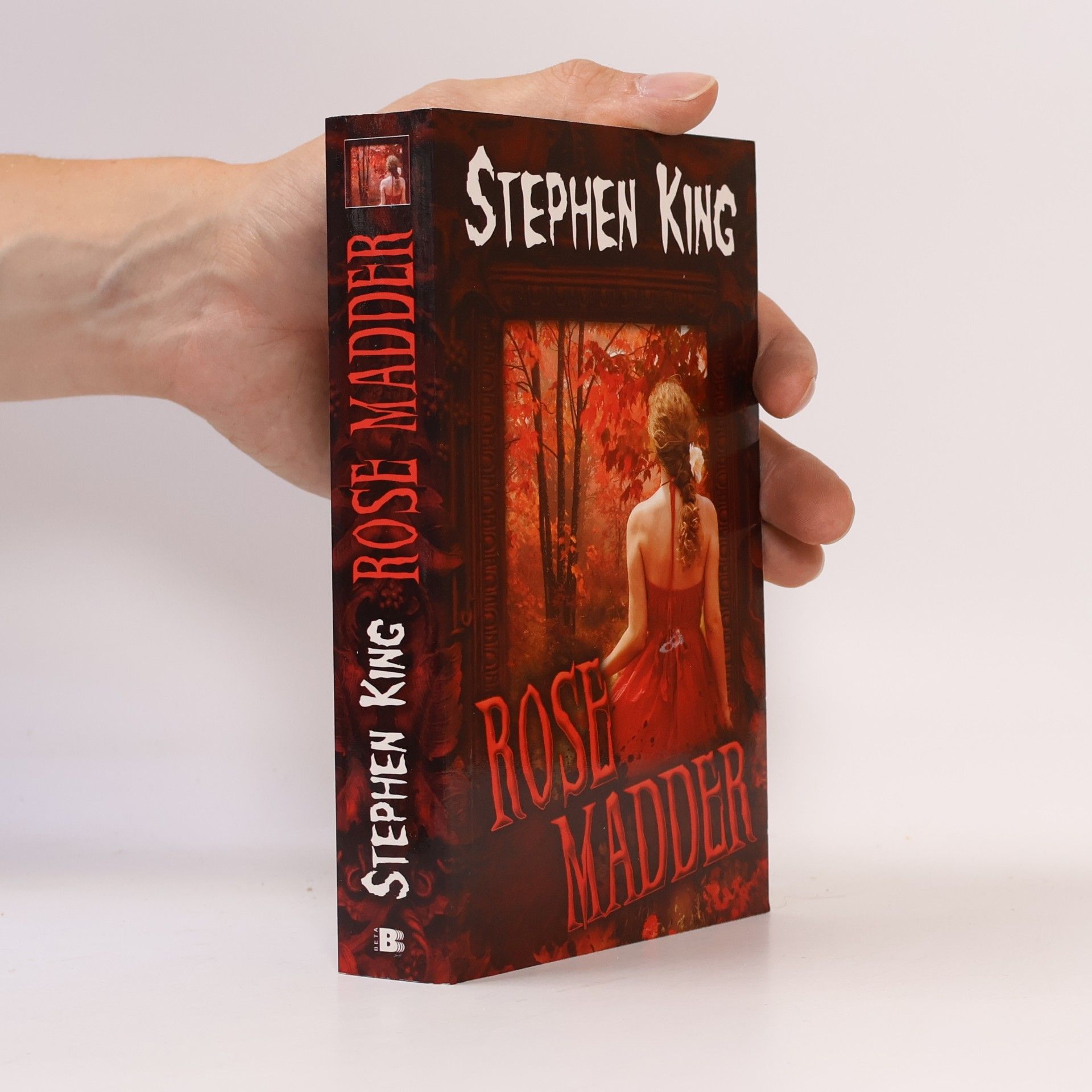 Stephen King Rose Madder
