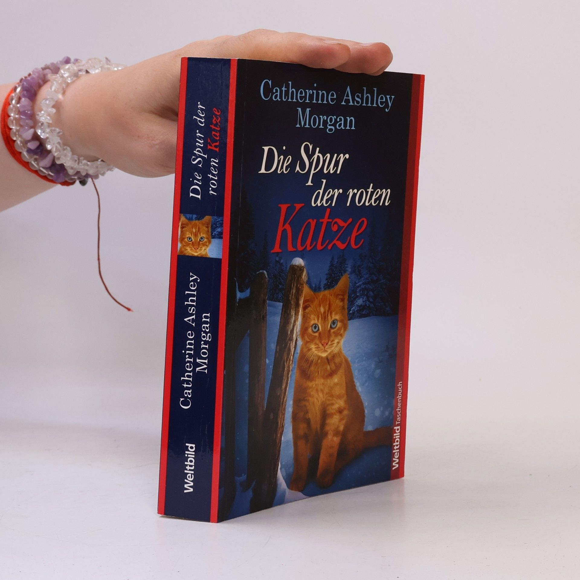 Catherine Ashley Morgan Die Spur der roten Katze