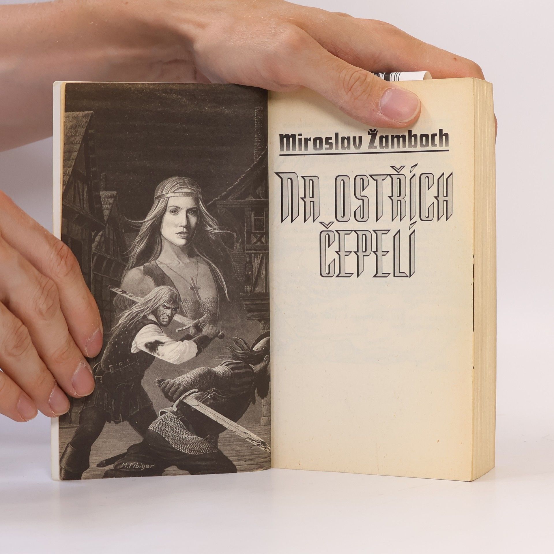 Miroslav Žamboch Na ostřích čepelí