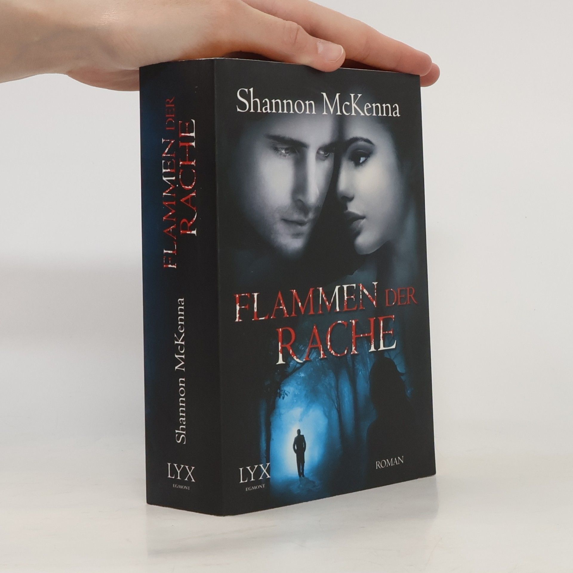 Shannon McKenna Flammen der Rache