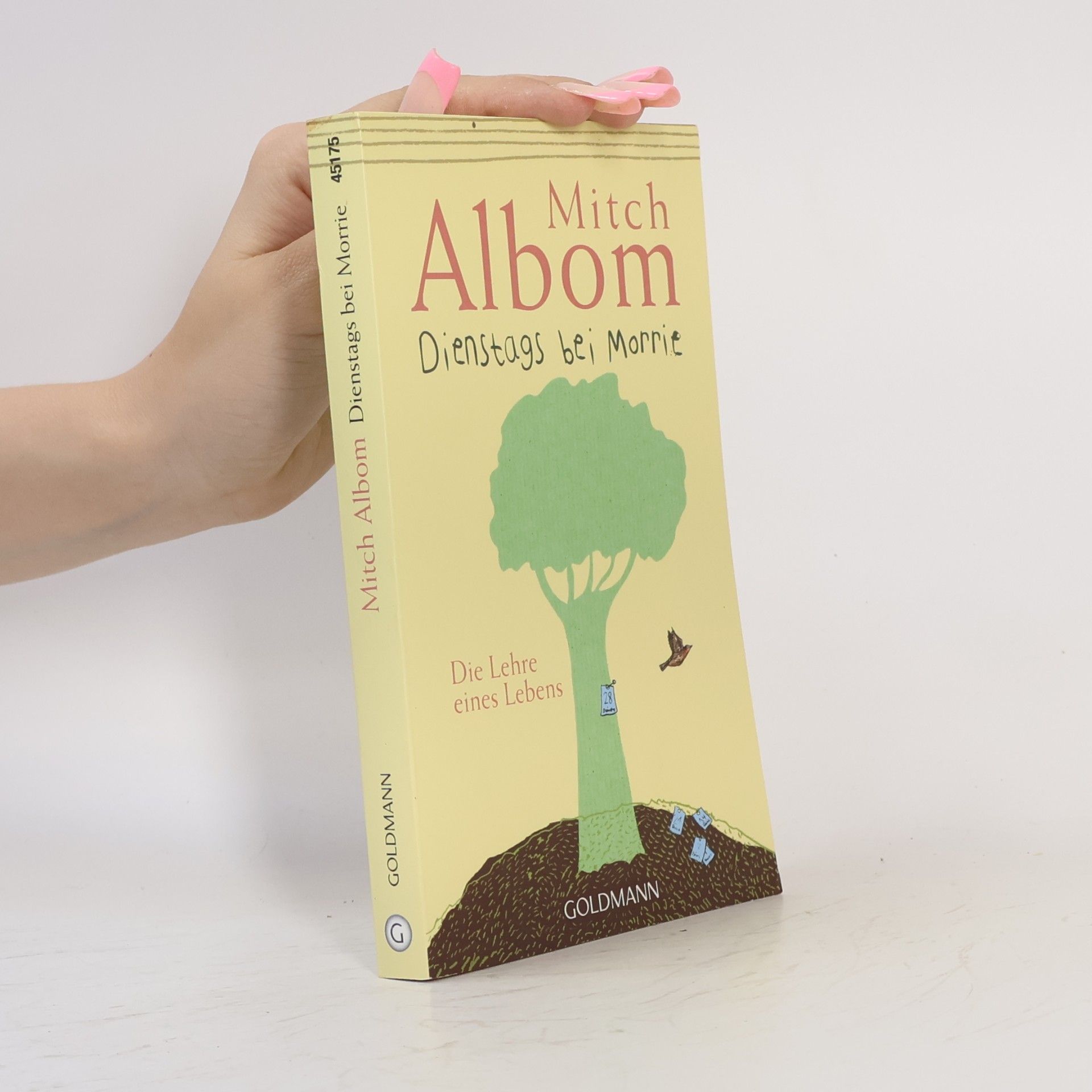 Mitch Albom Dienstags bei Morrie