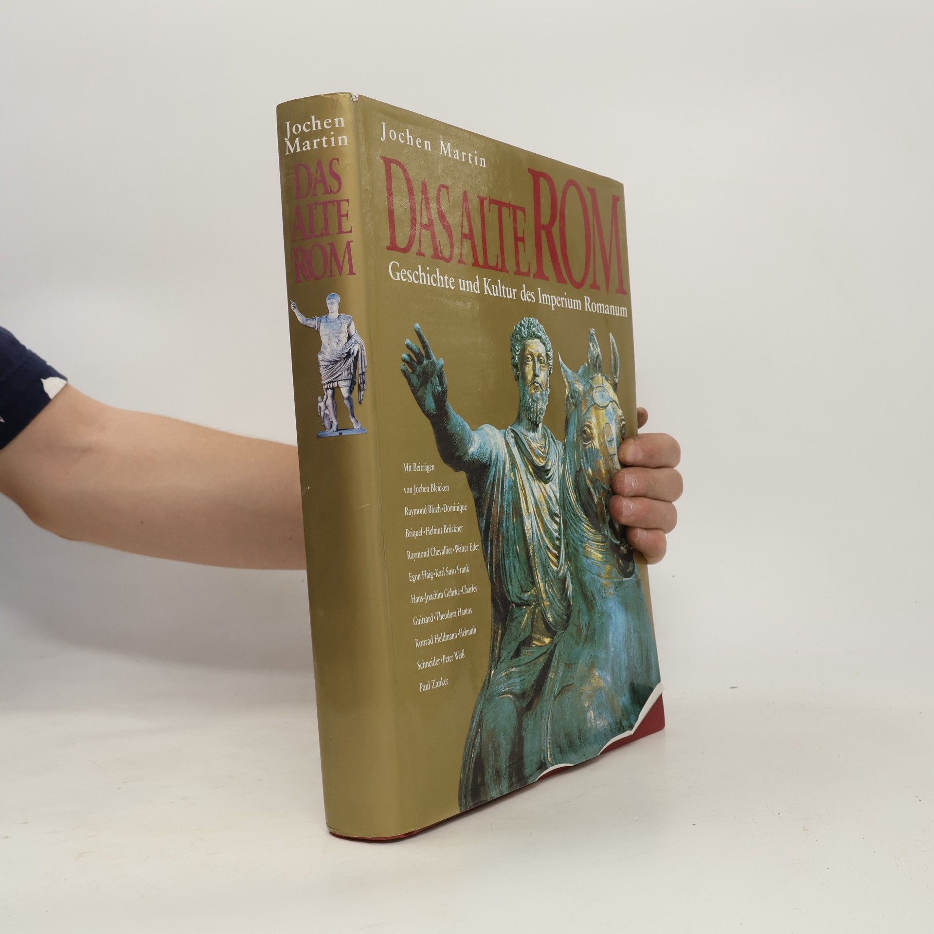 Jochen Martin Das Alte Rom. Geschichte und Kultur des Imperium Romanum