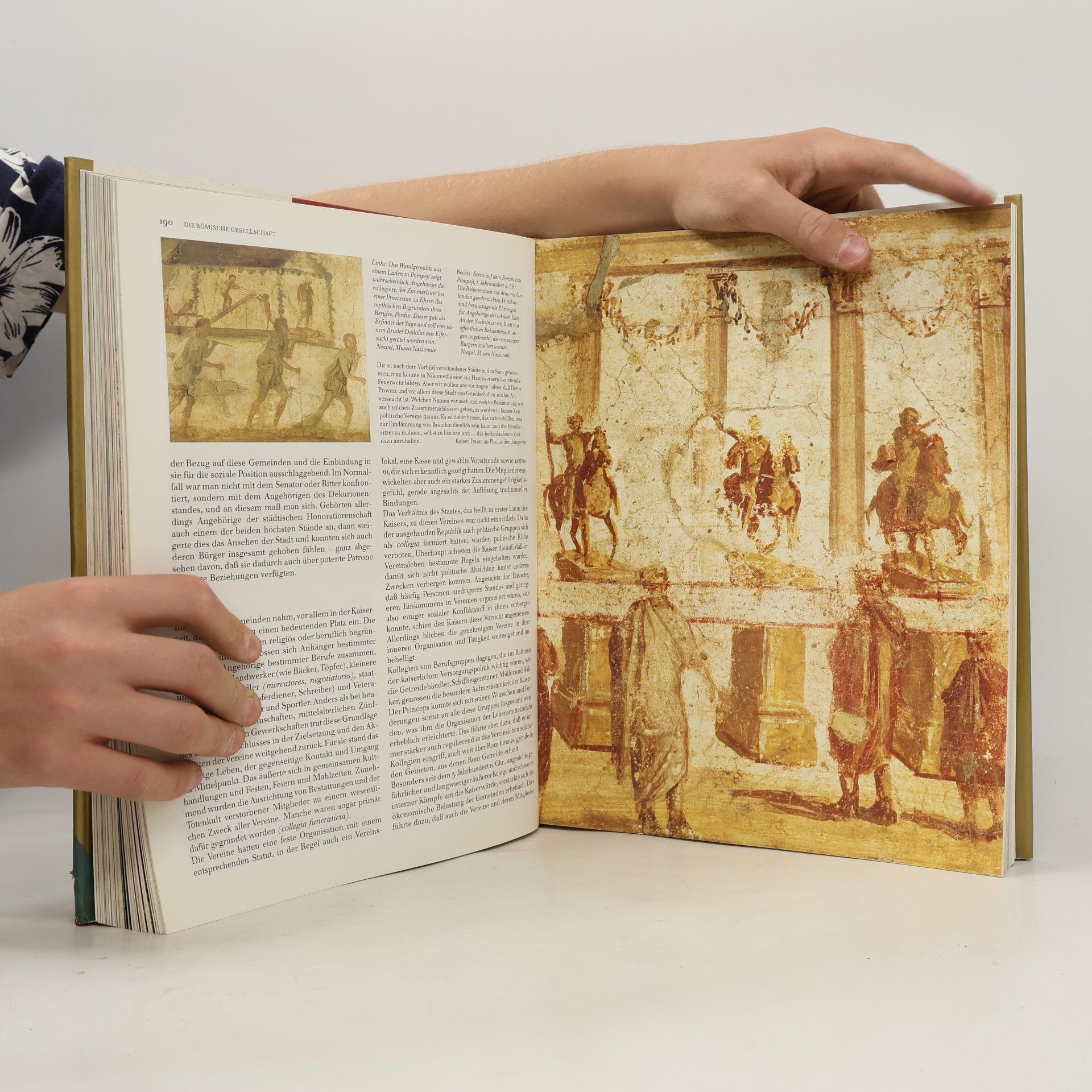 Jochen Martin Das Alte Rom. Geschichte und Kultur des Imperium Romanum
