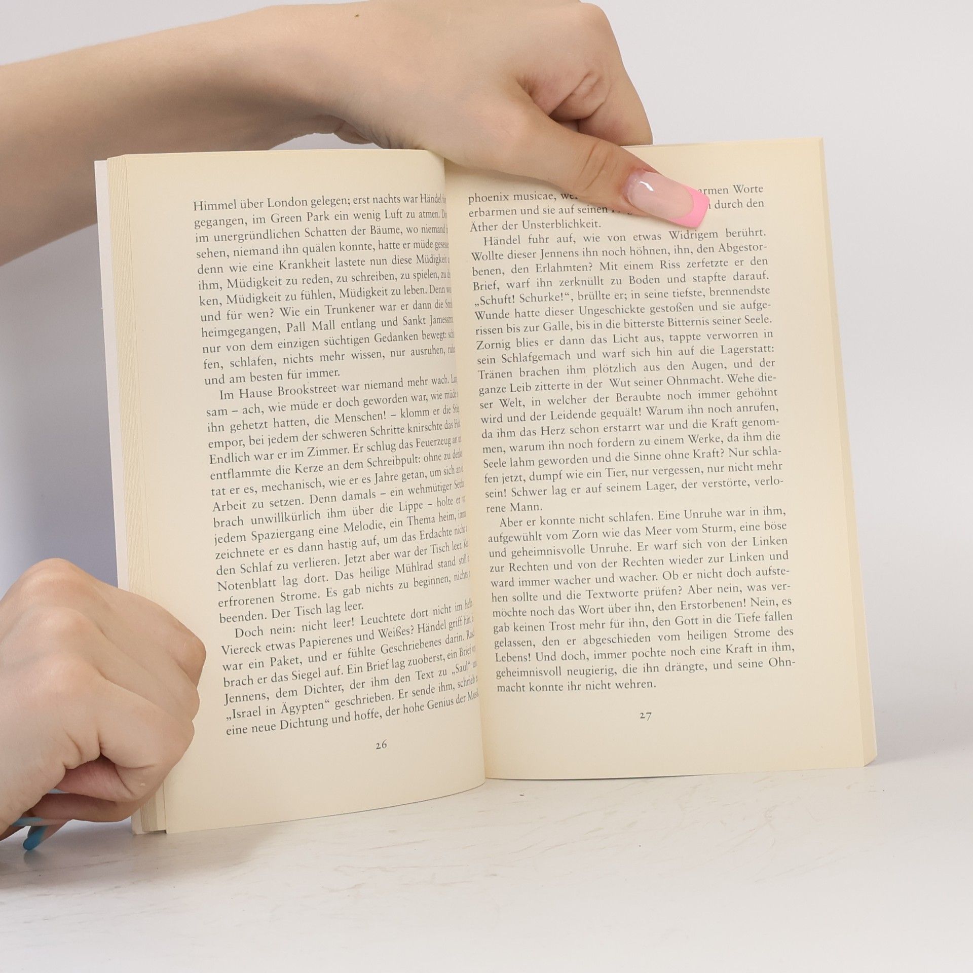 Cornelia Haverkamp Das versteigerte Buch