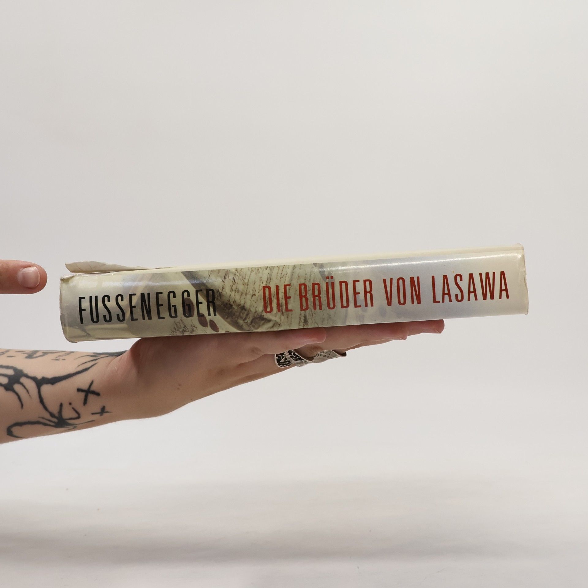 Gertrud Fussenegger Die brüder von lasawa
