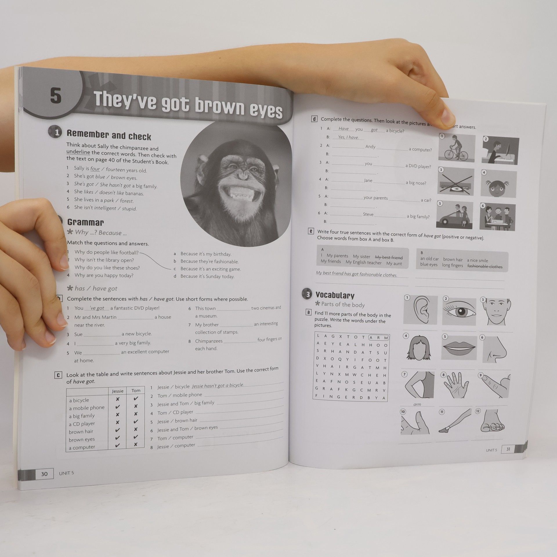 Herbert Puchta English in Mind Starter Workbook