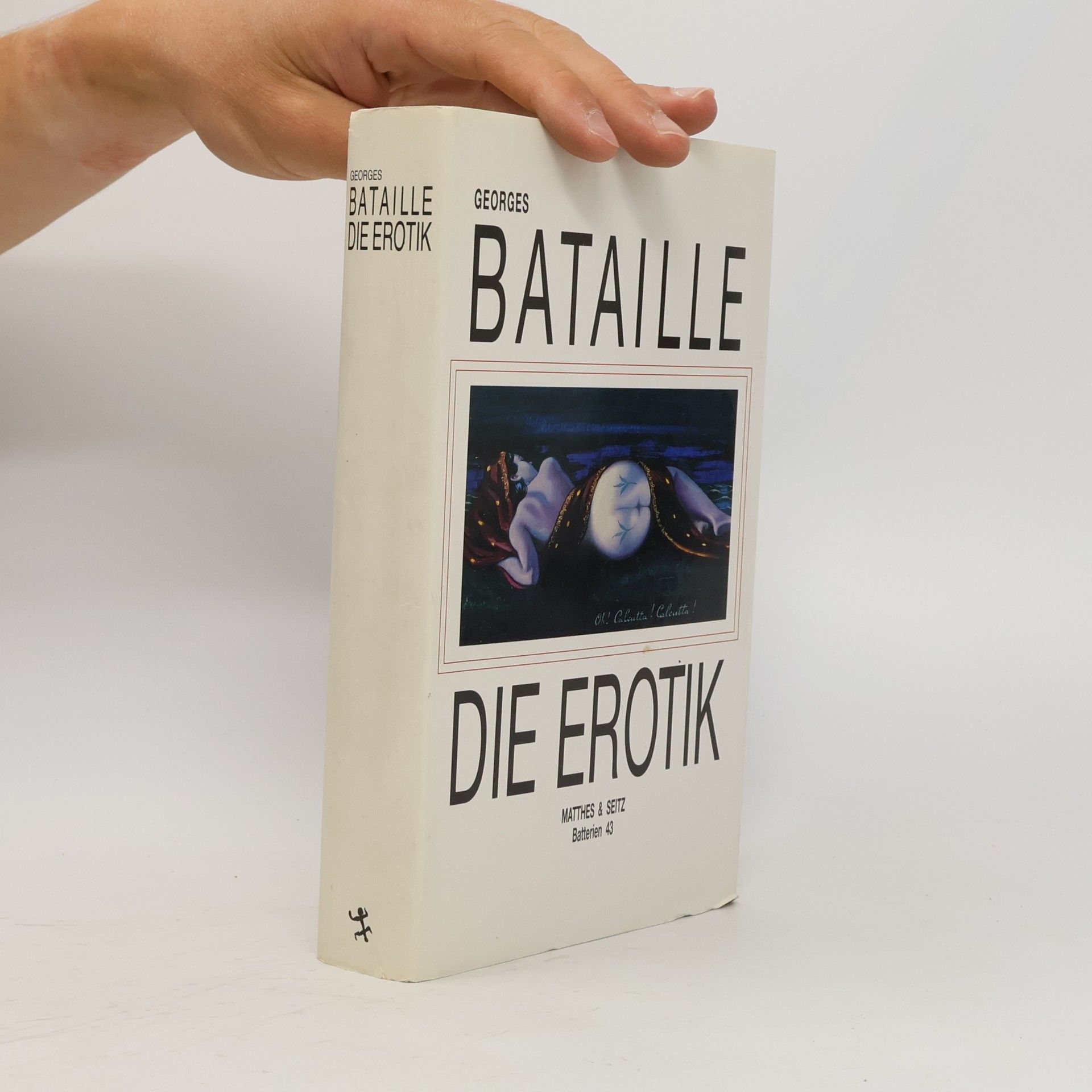 Georges Bataille Das theoretische Werk in Einzelbänden