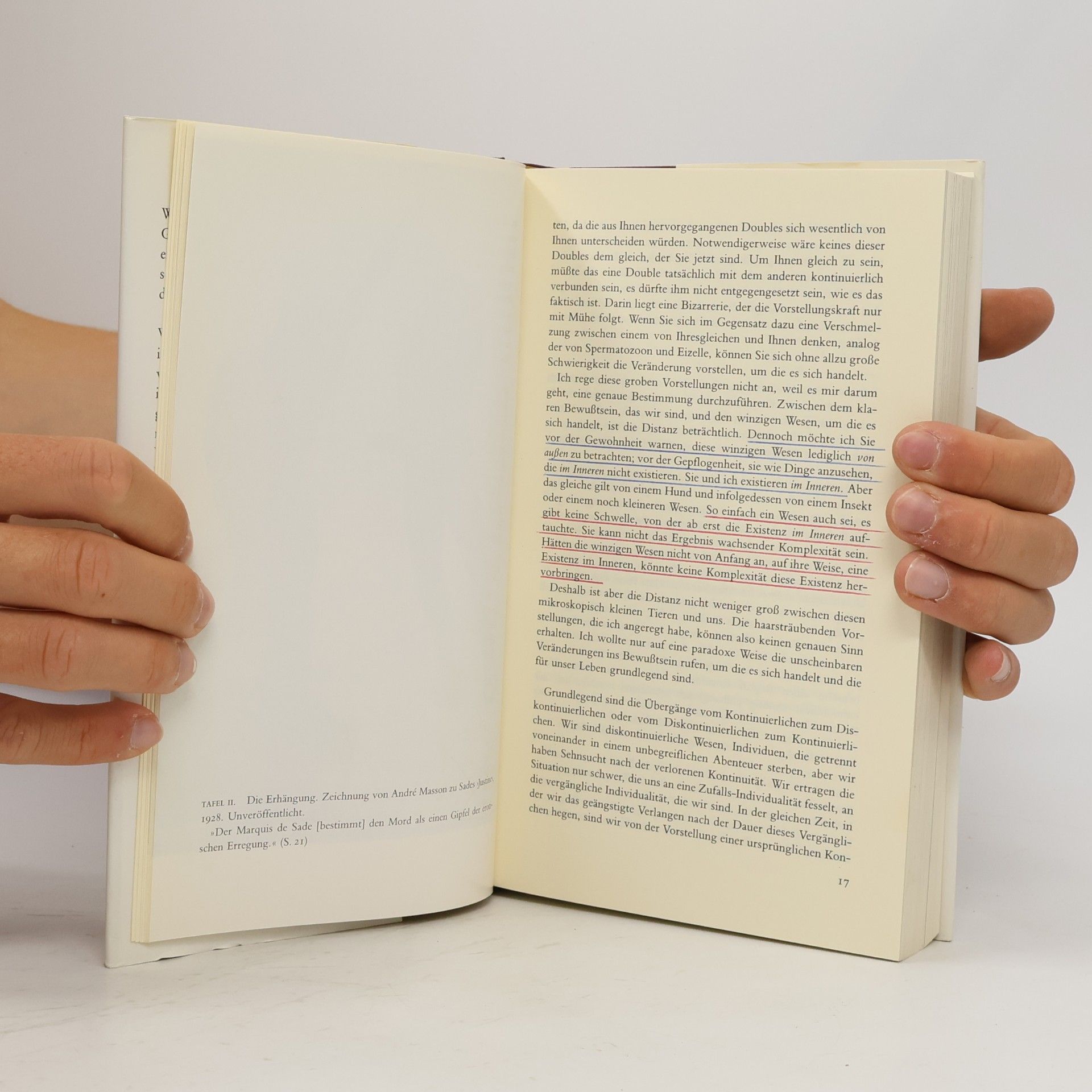 Georges Bataille Das theoretische Werk in Einzelbänden