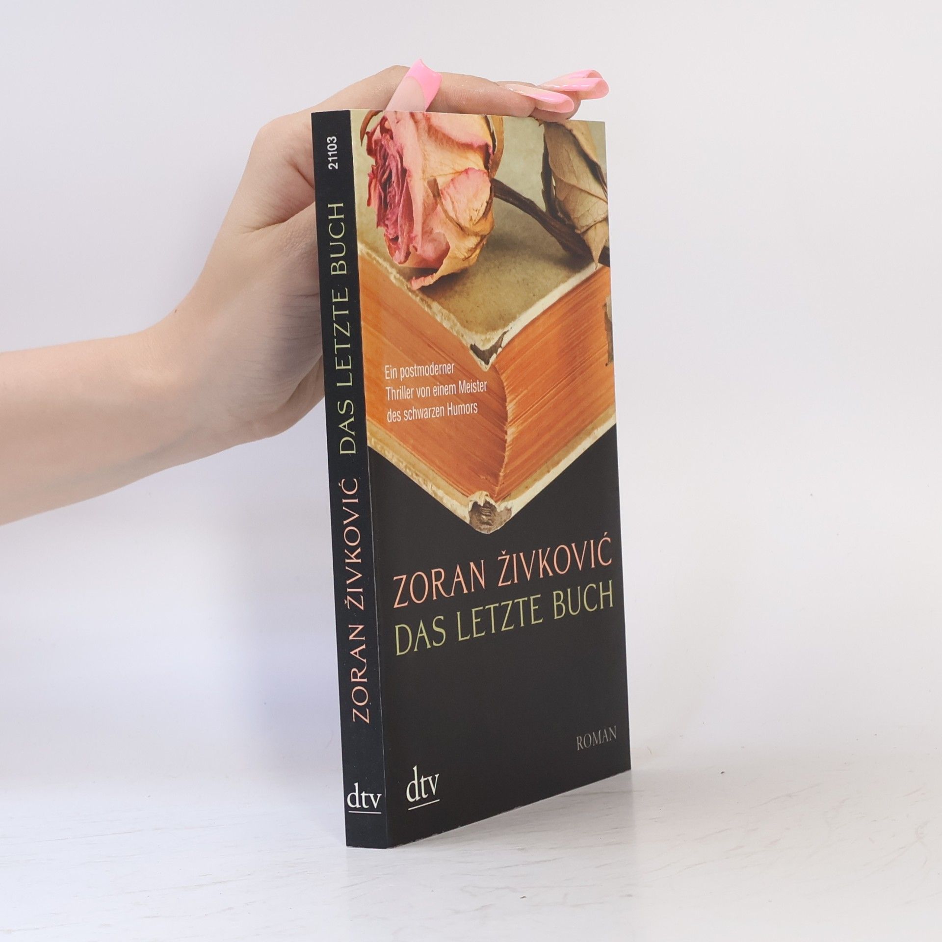 Zoran Živković Das letzte Buch