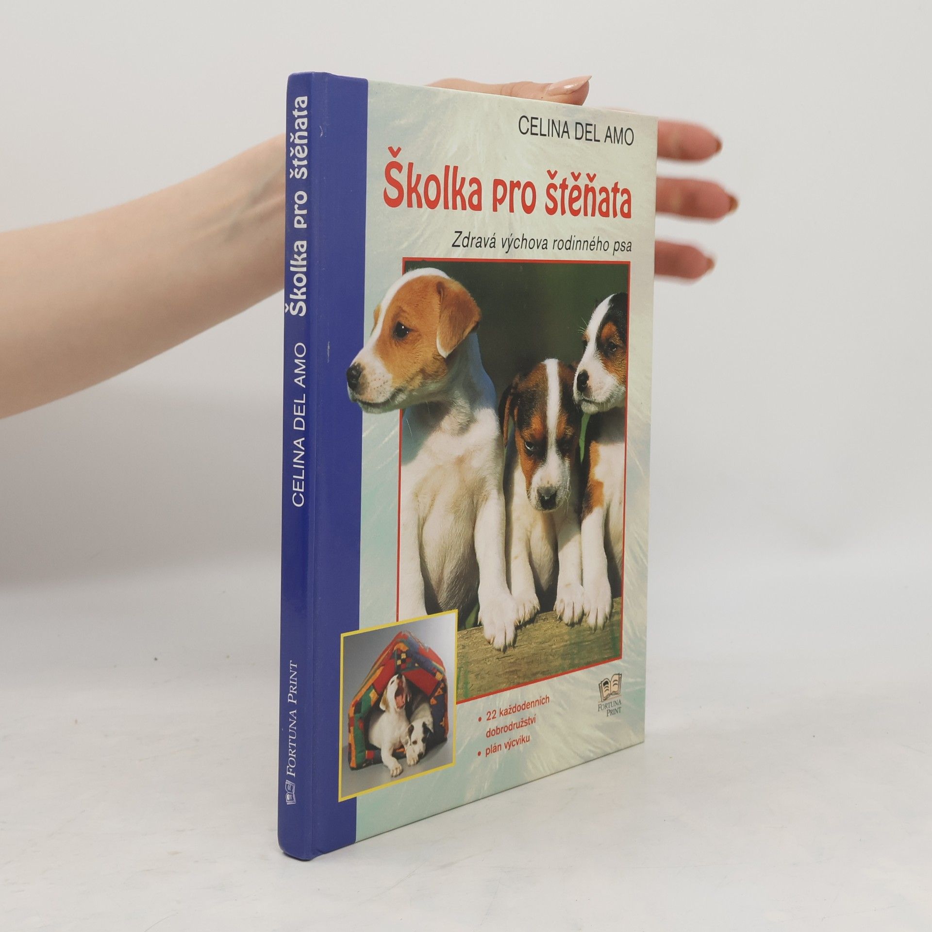 Celina Del Amo Školka pro štěňata: Zdravá výchova rodinného psa
