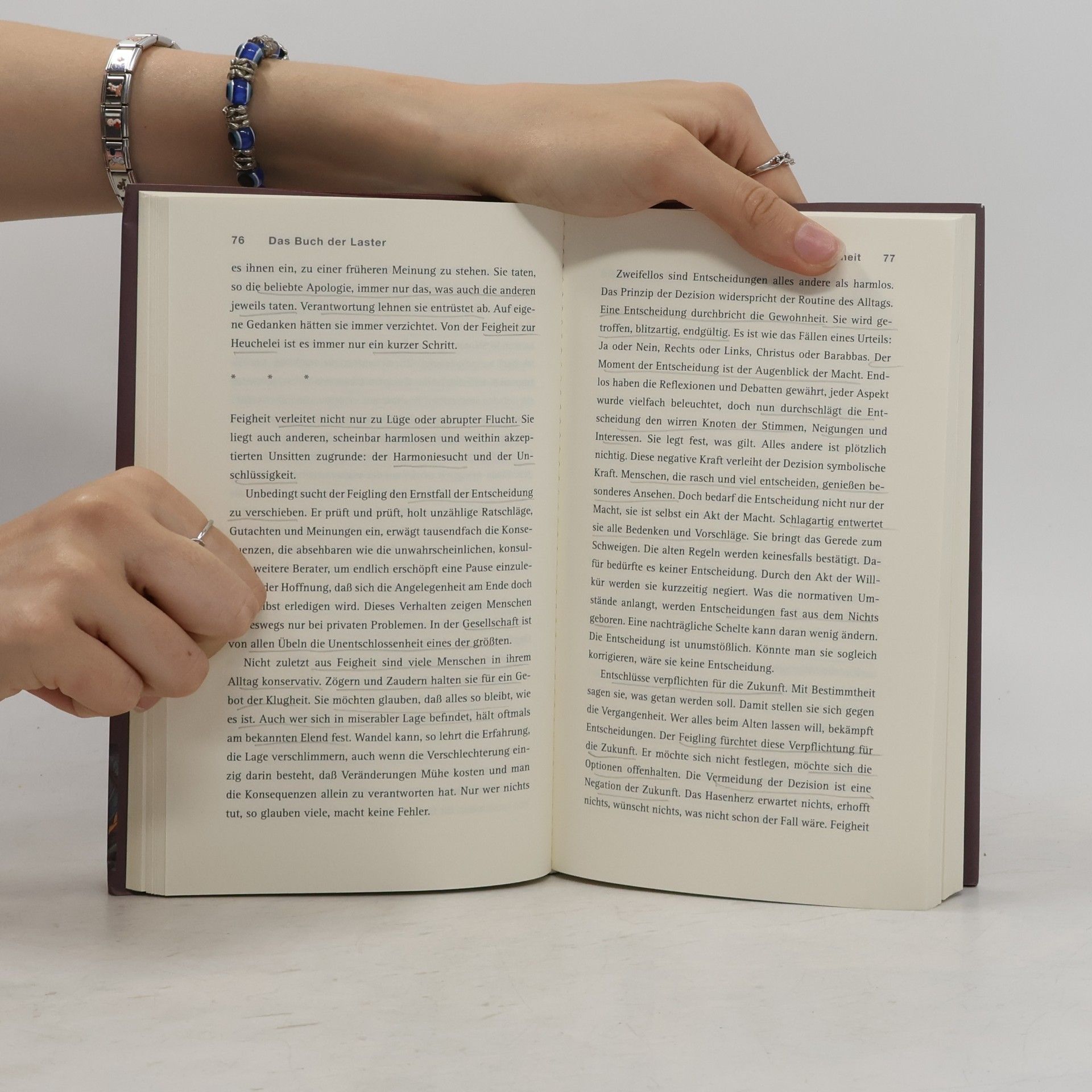 Wolfgang Sofsky Das Buch der Laster