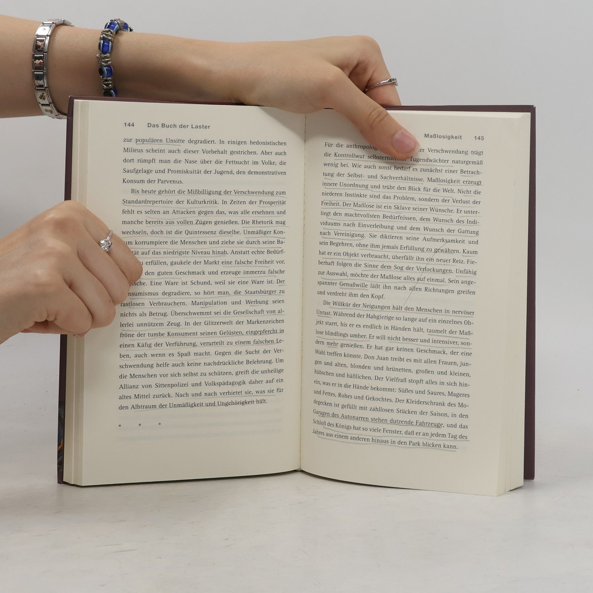 Wolfgang Sofsky Das Buch der Laster