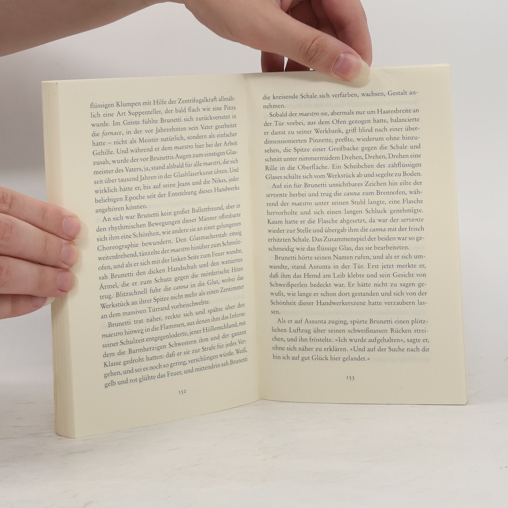 Donna Leon Wie durch ein dunkles Glas