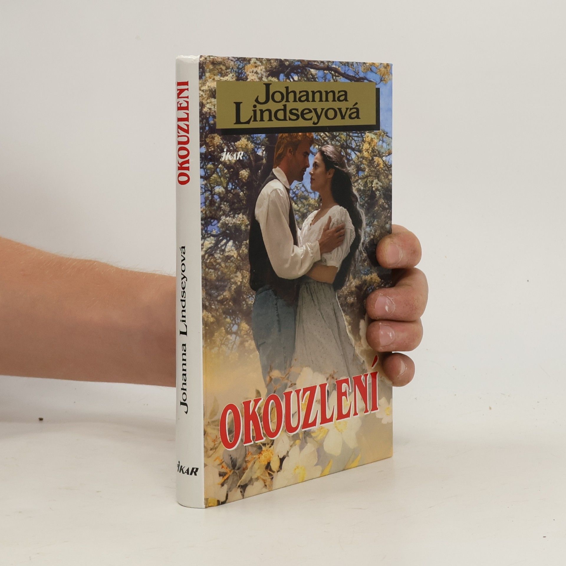 Johanna Lindsey Okouzlení
