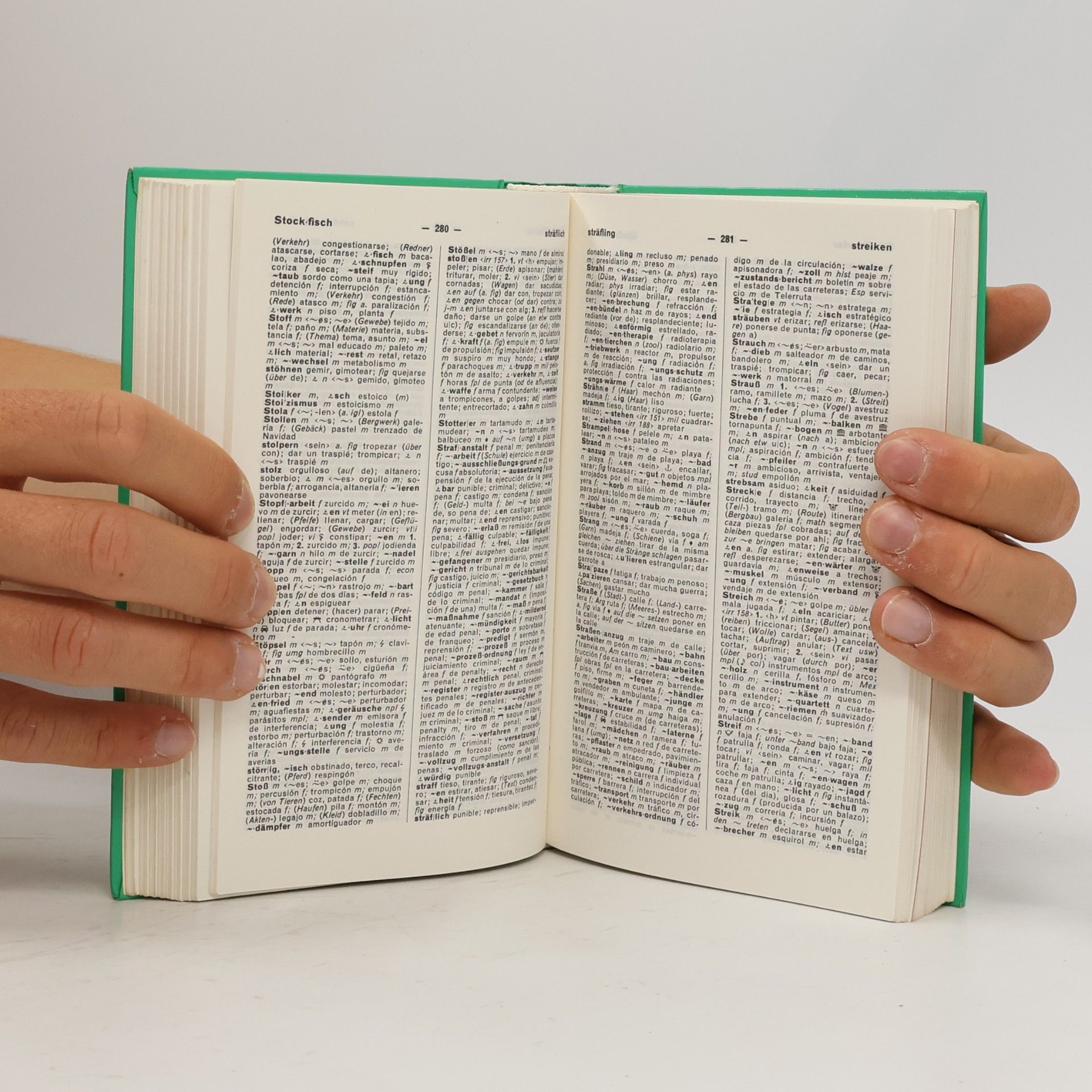 Gu nther Haensch Wörterbuch der spanischen und deutschen Sprache