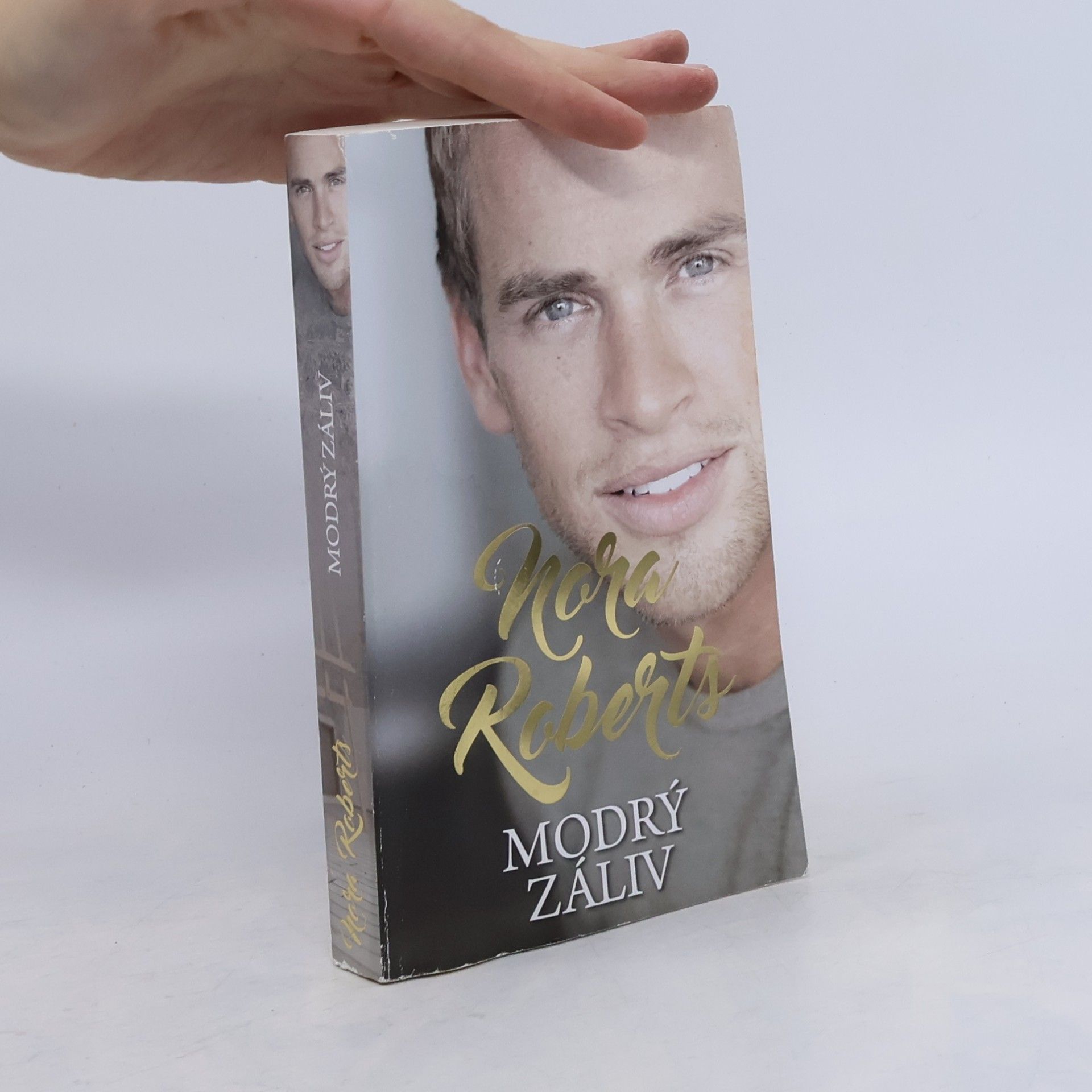 Nora Roberts Modrý záliv