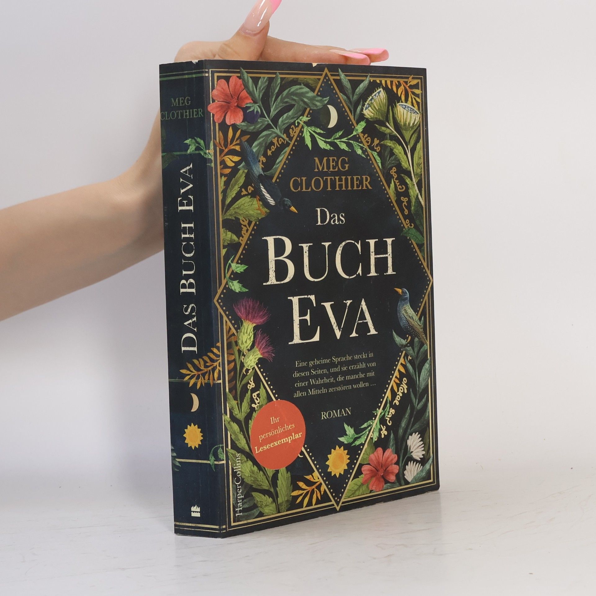 Meg Clothier Das Buch Eva