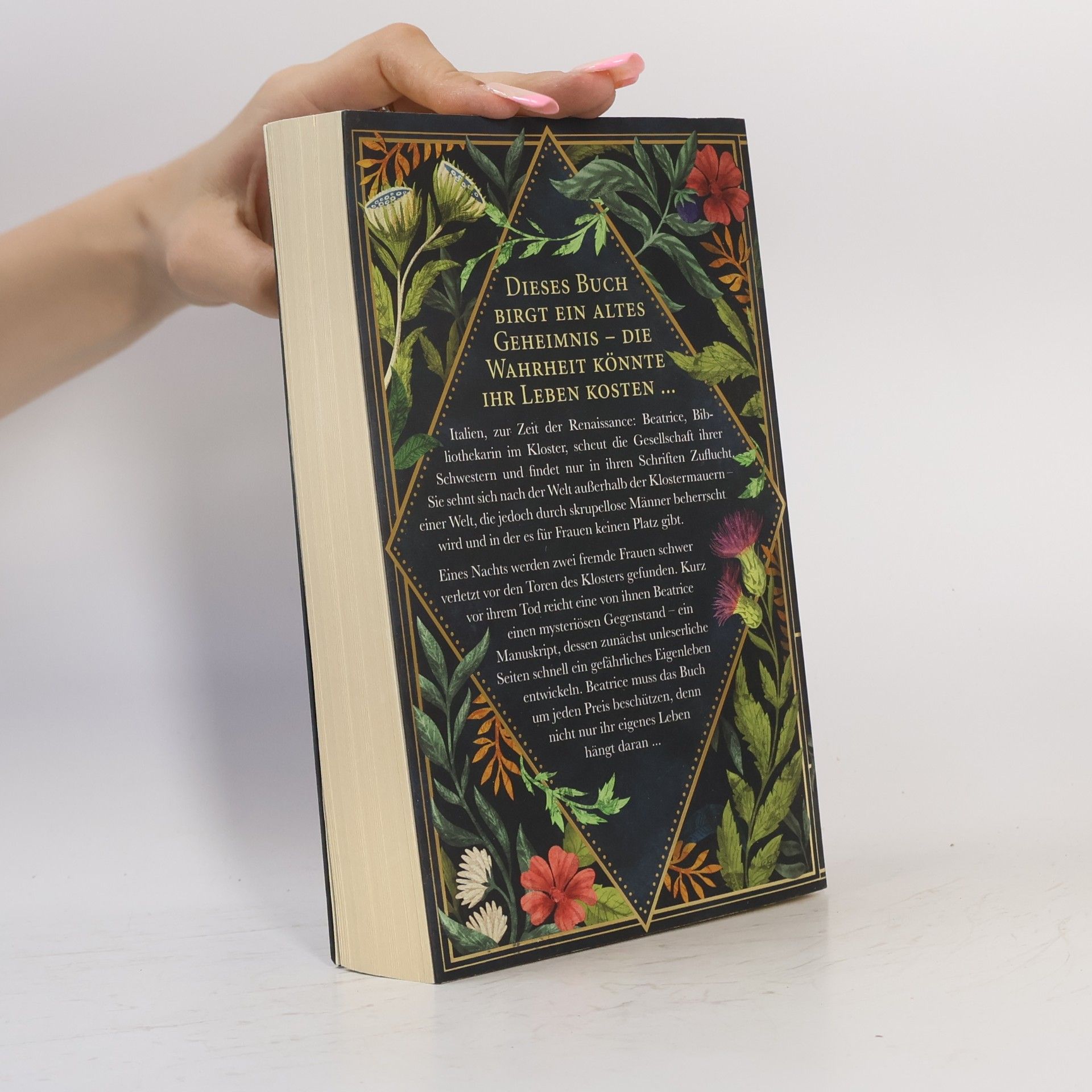 Meg Clothier Das Buch Eva