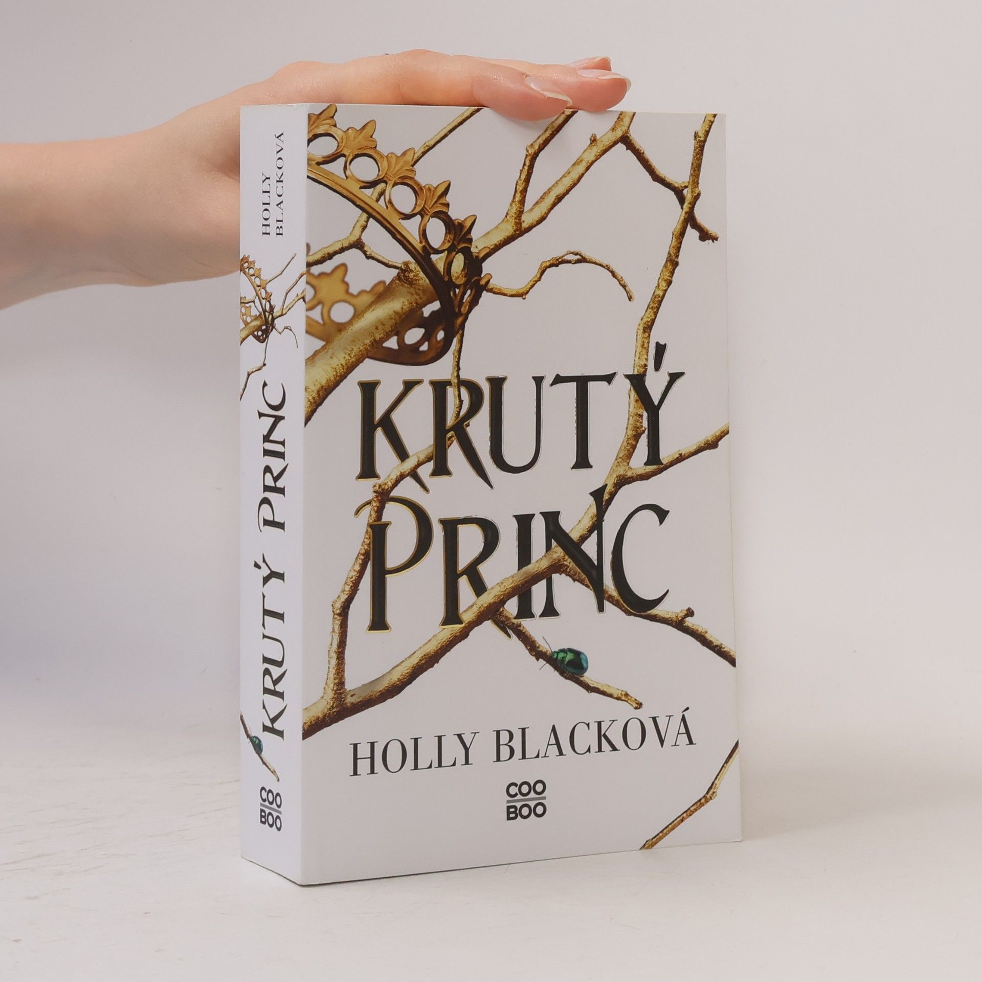 Holly Black Krutý princ