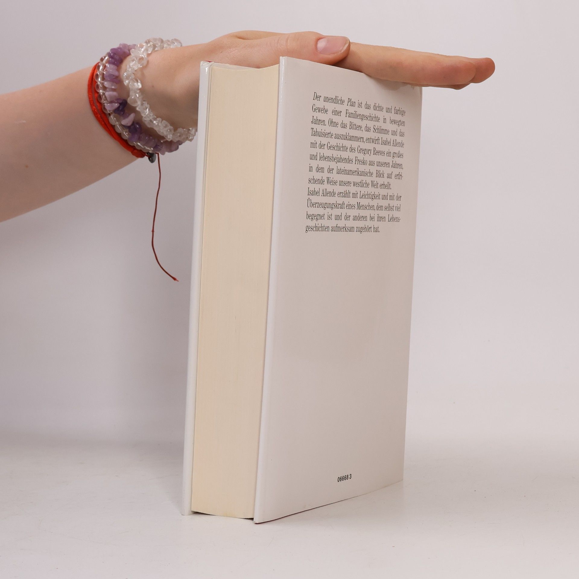 Isabel Allende Der unendliche Plan