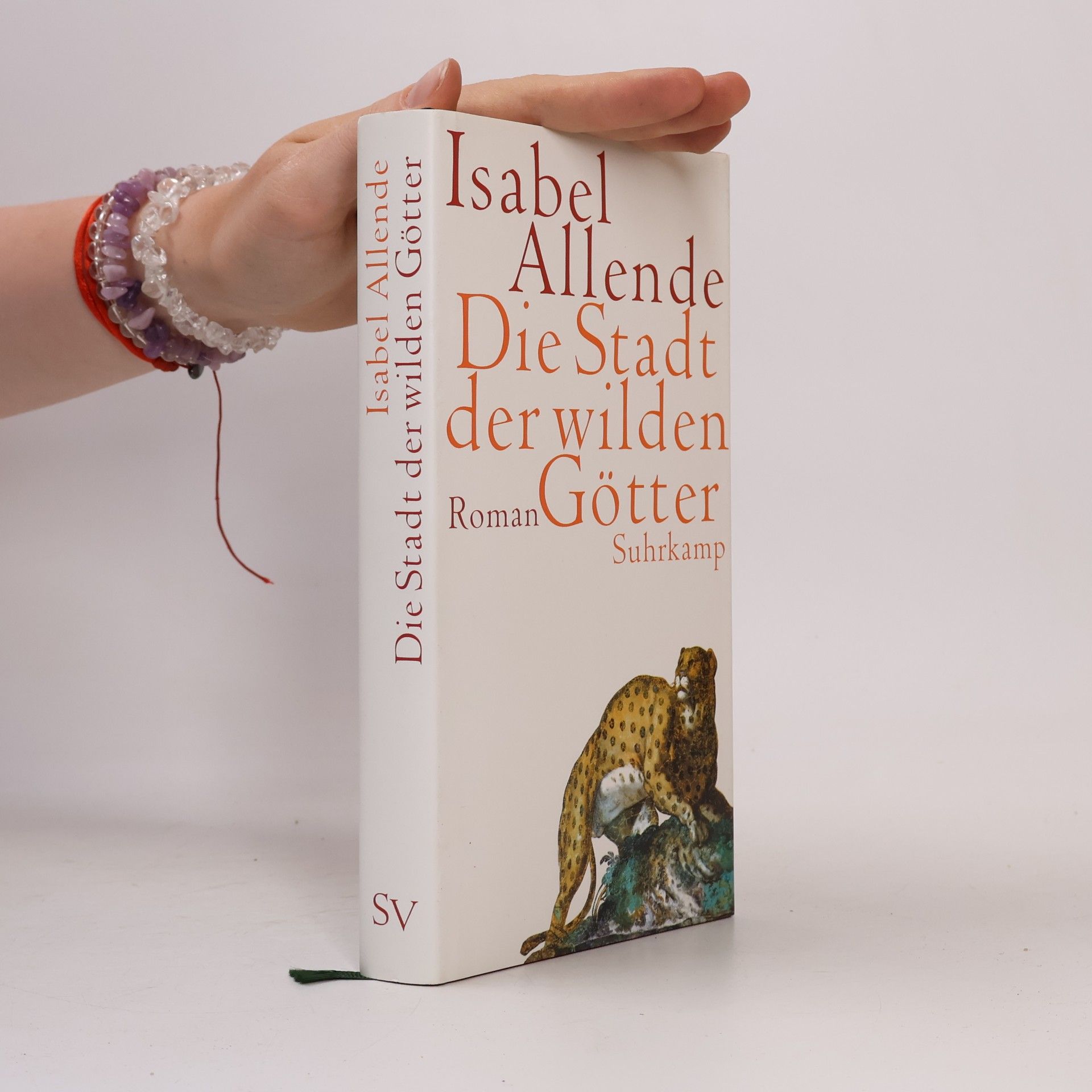 Isabel Allende Die Stadt der wilden Götter