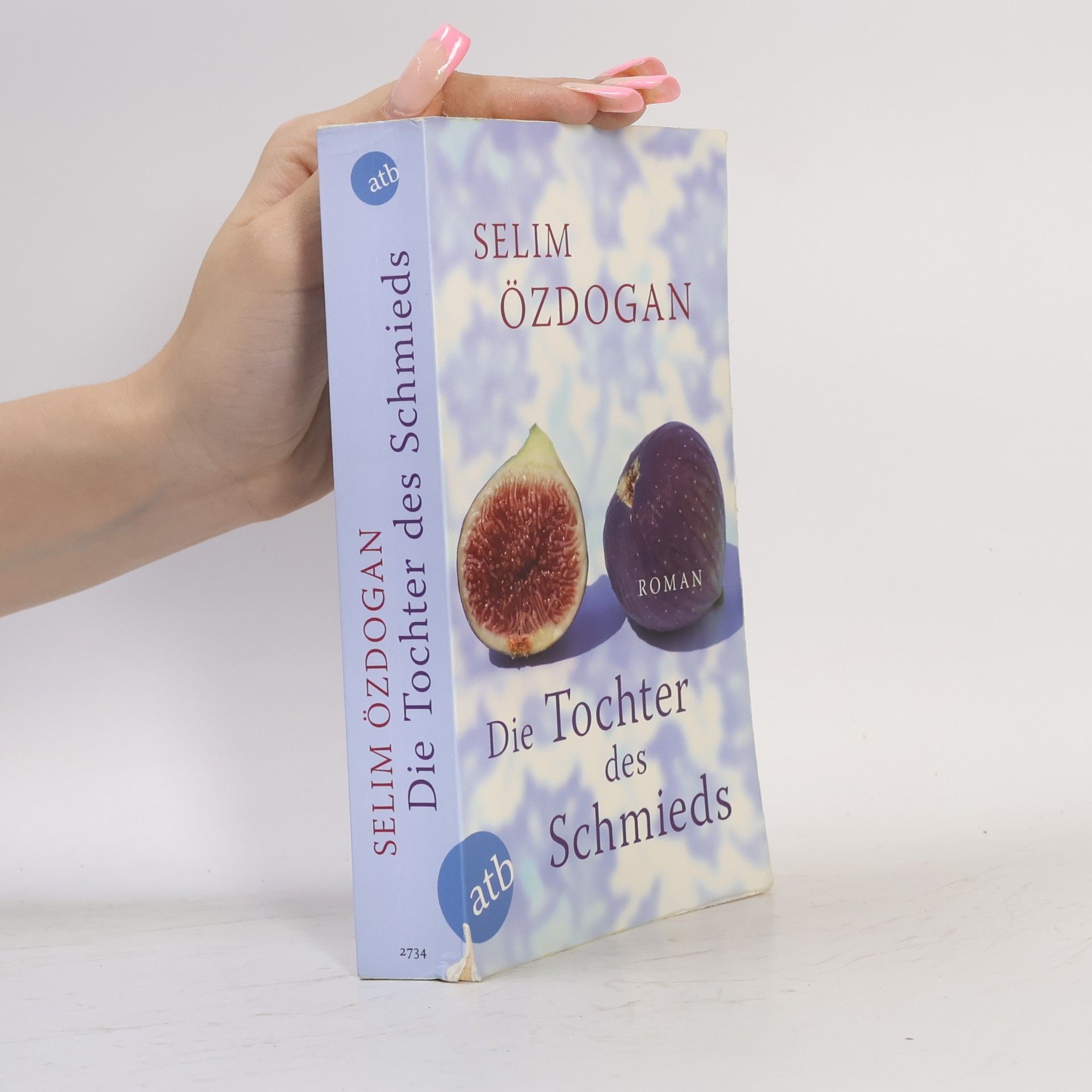 Selim Özdoğan Die Tochter des Schmieds