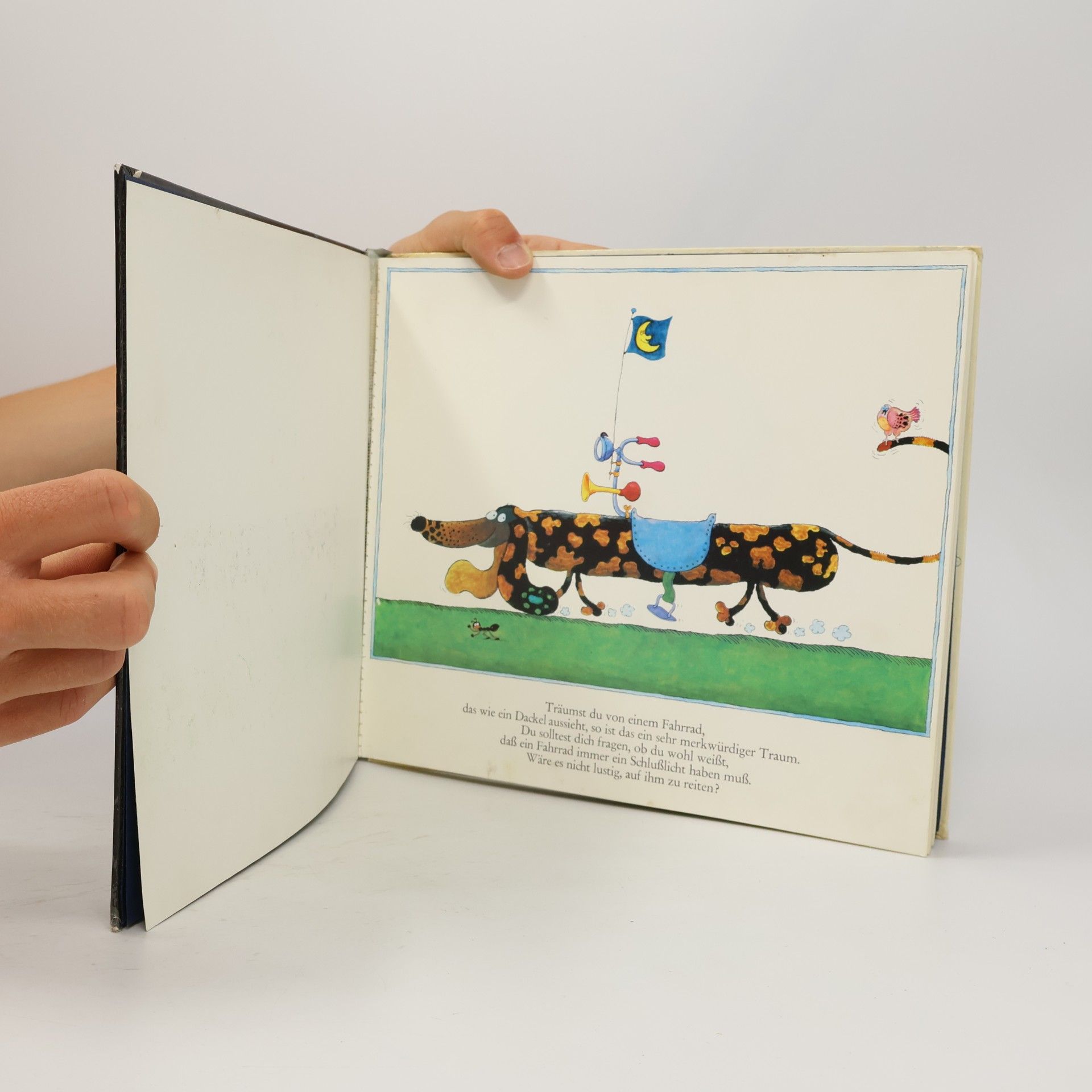 Walter Schmögner Traumbuch für Kinder