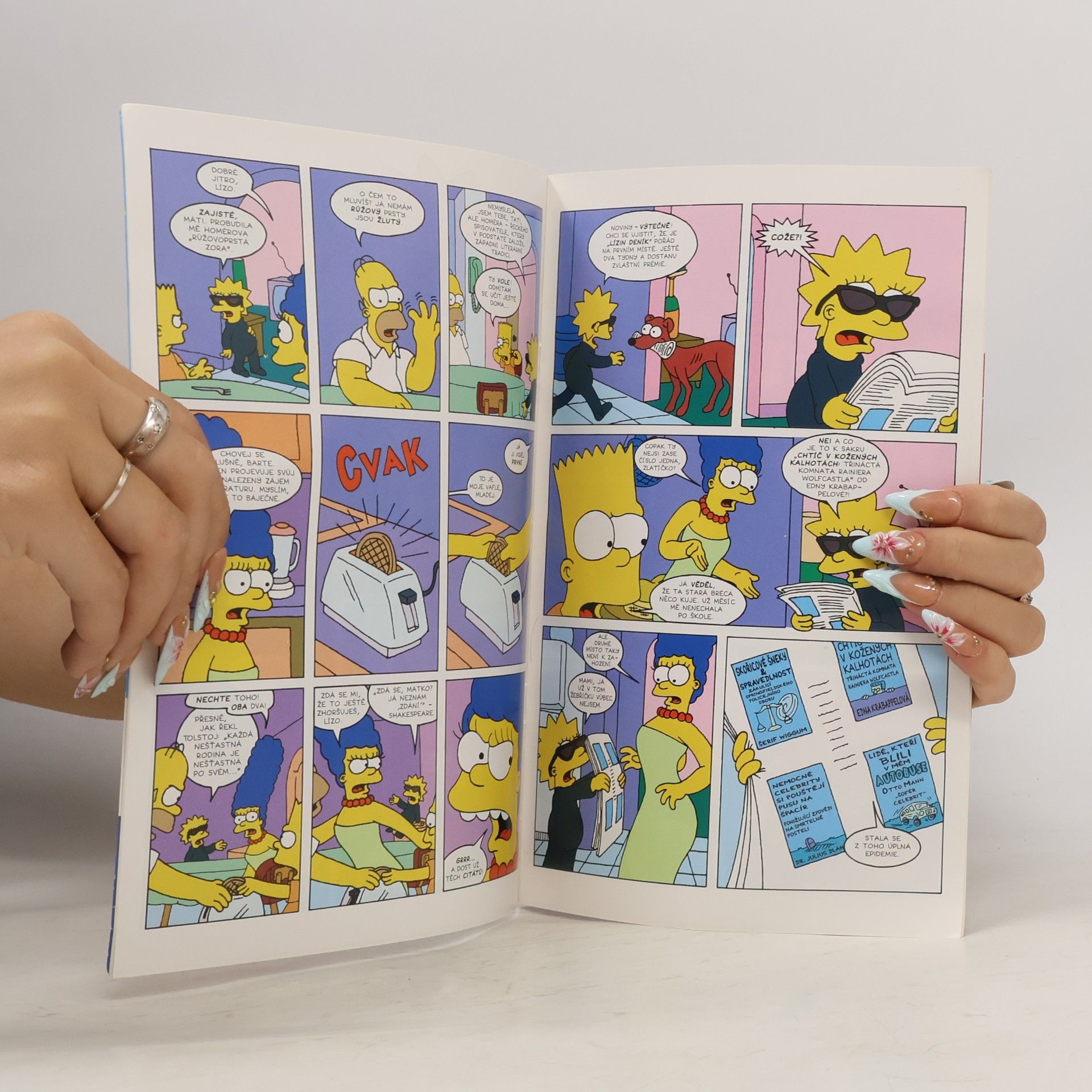 Auteurscollectief Simpsonovi: Můj deník. Líza Simpsonová
