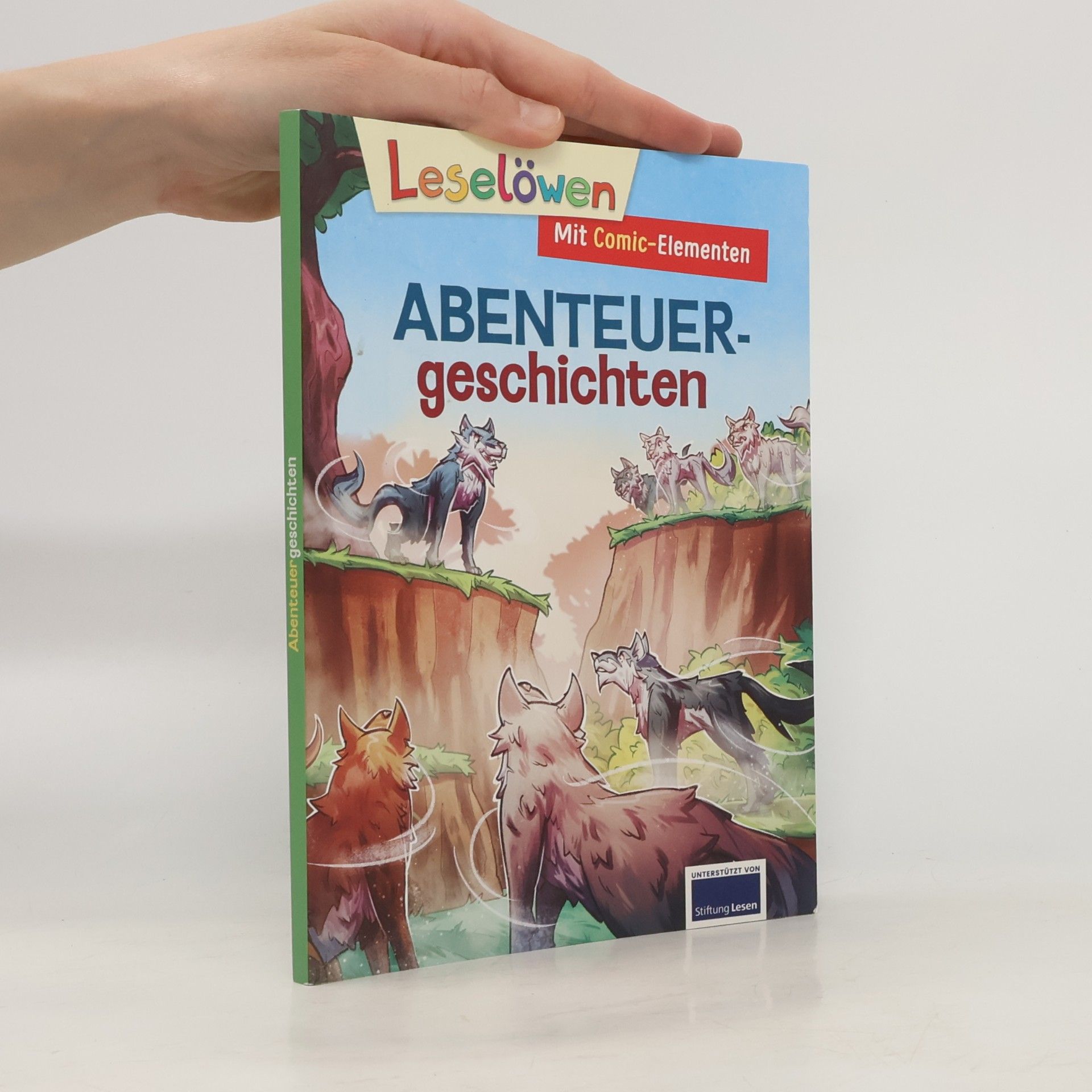 nezn. Leselöwen - Mit Comic-Elementen - Abenteuergeschichten