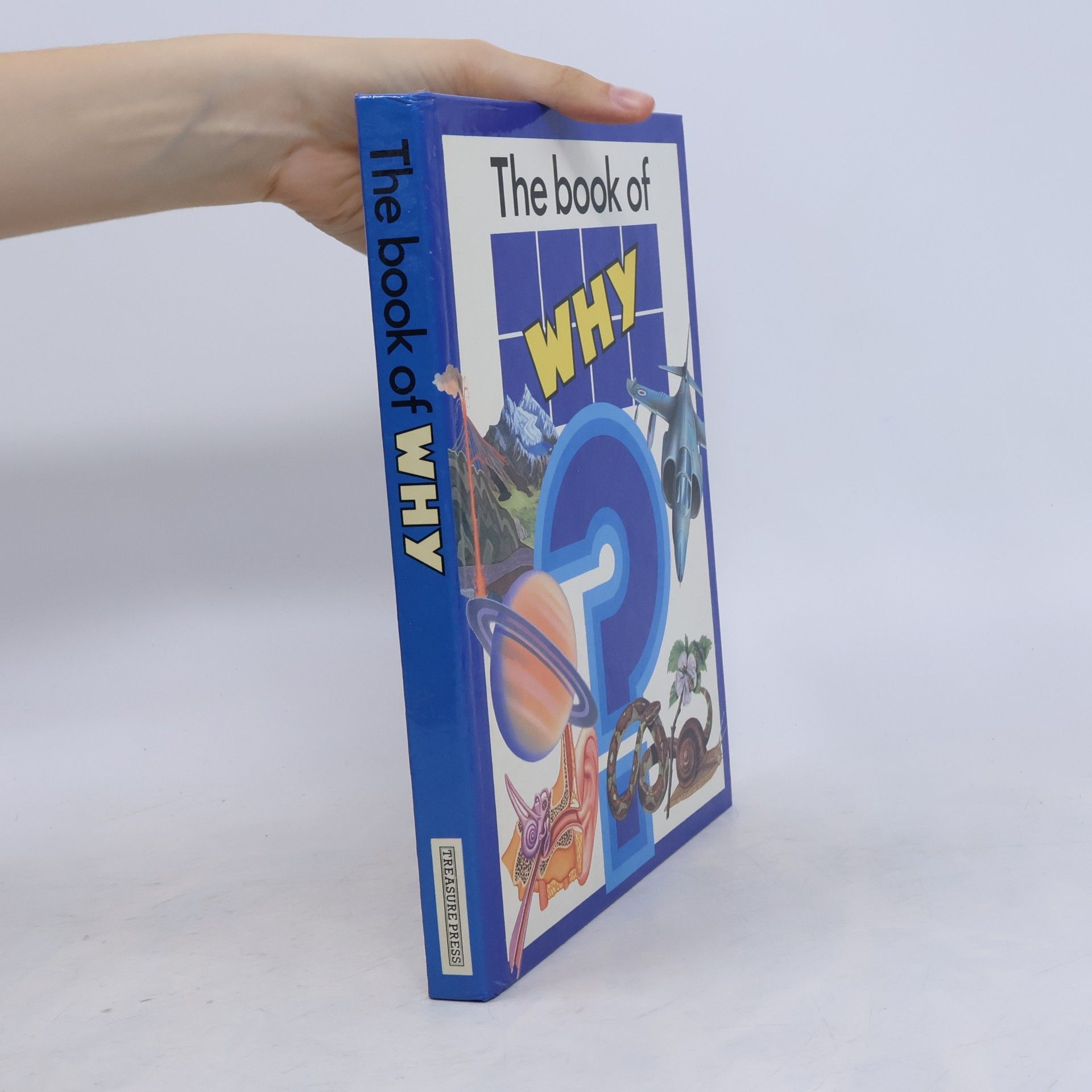 Giuseppe Zanini The Book of why