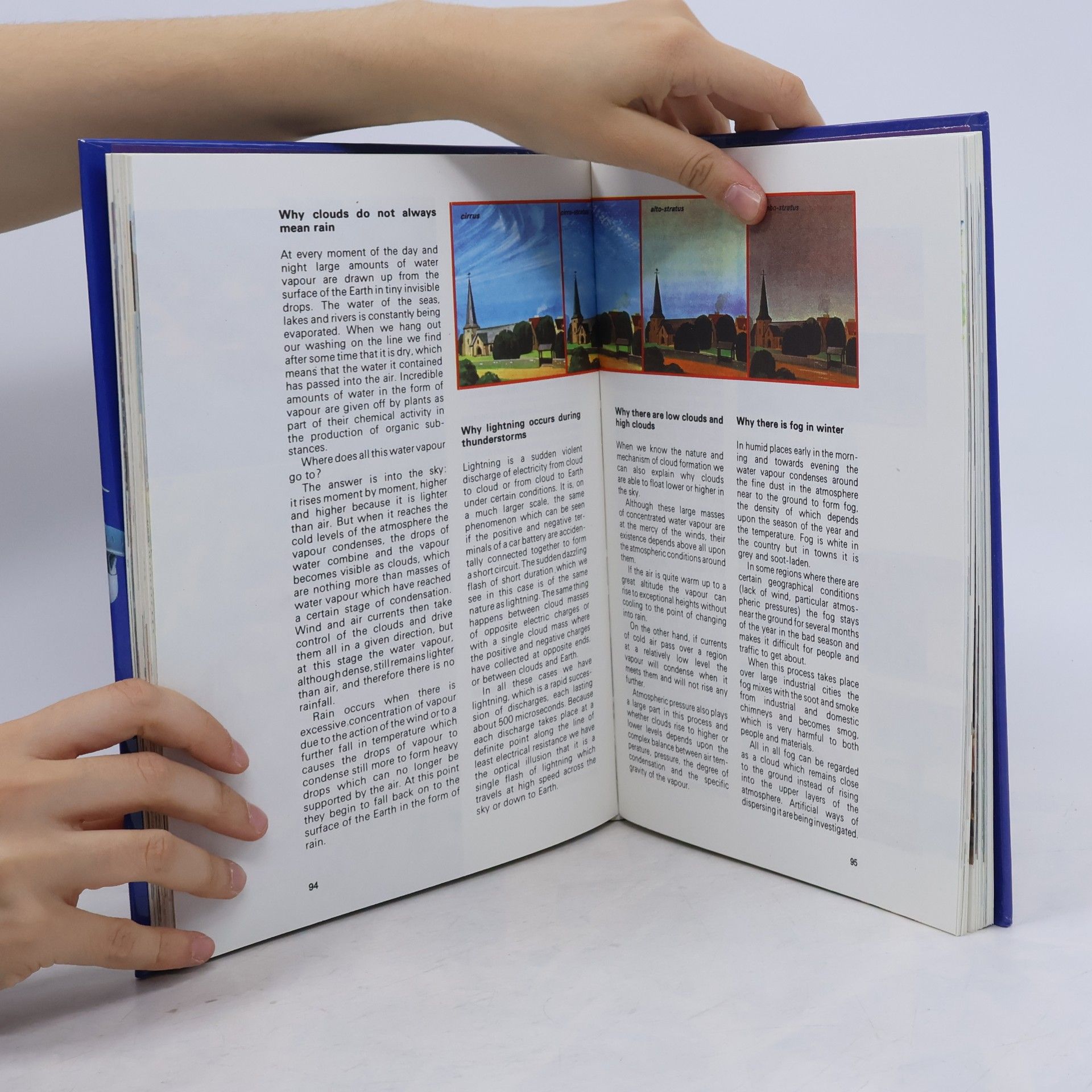 Giuseppe Zanini The Book of why