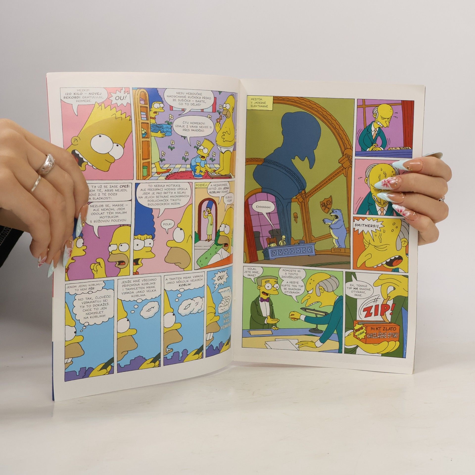 Kolektív autorov Simpsonovi 1/2022