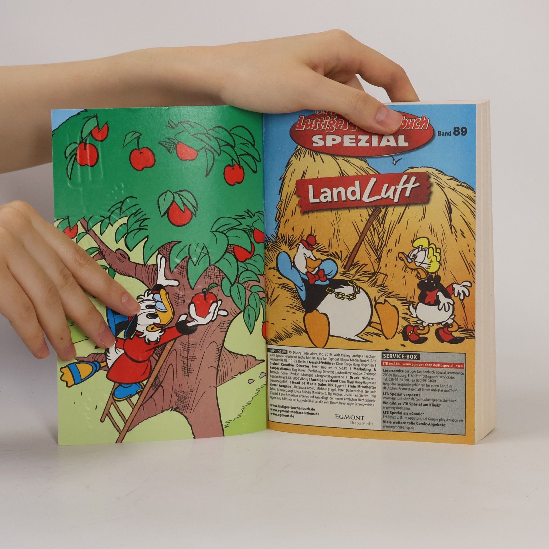 Walt Disney Lustiges Taschenbuch Spezial Band 89. Landluft